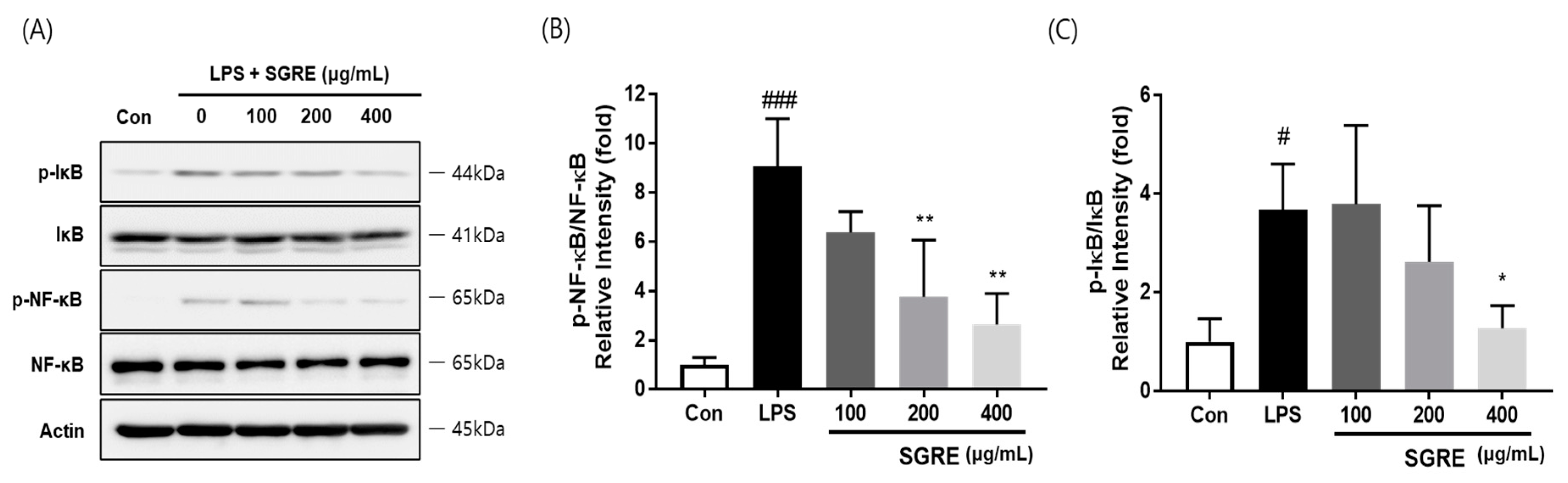 Nutrients 15 01417 g005 Nutrients 15 01417 g005