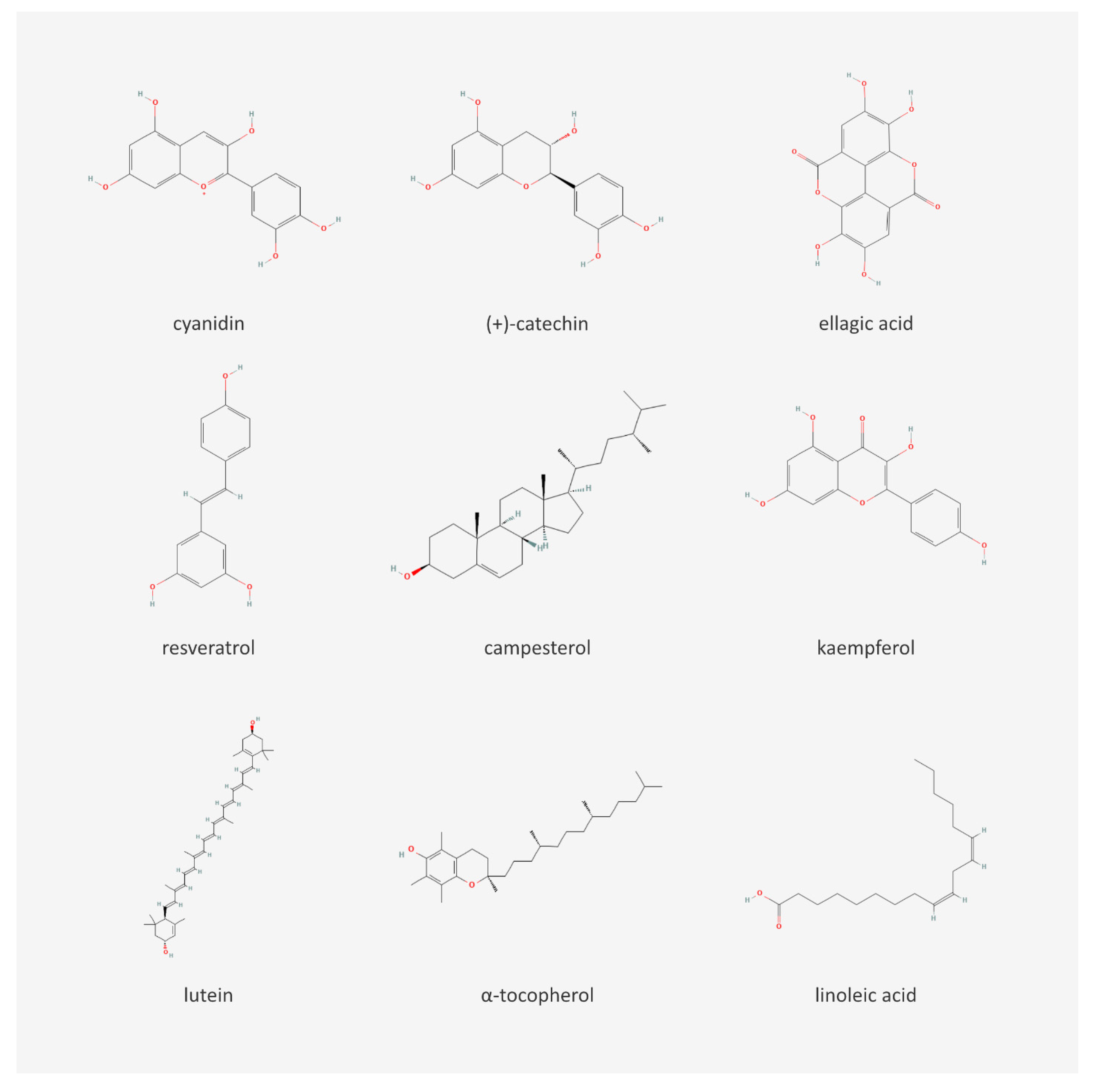 Nutrients 15 01422 g002 Nutrients 15 01422 g002
