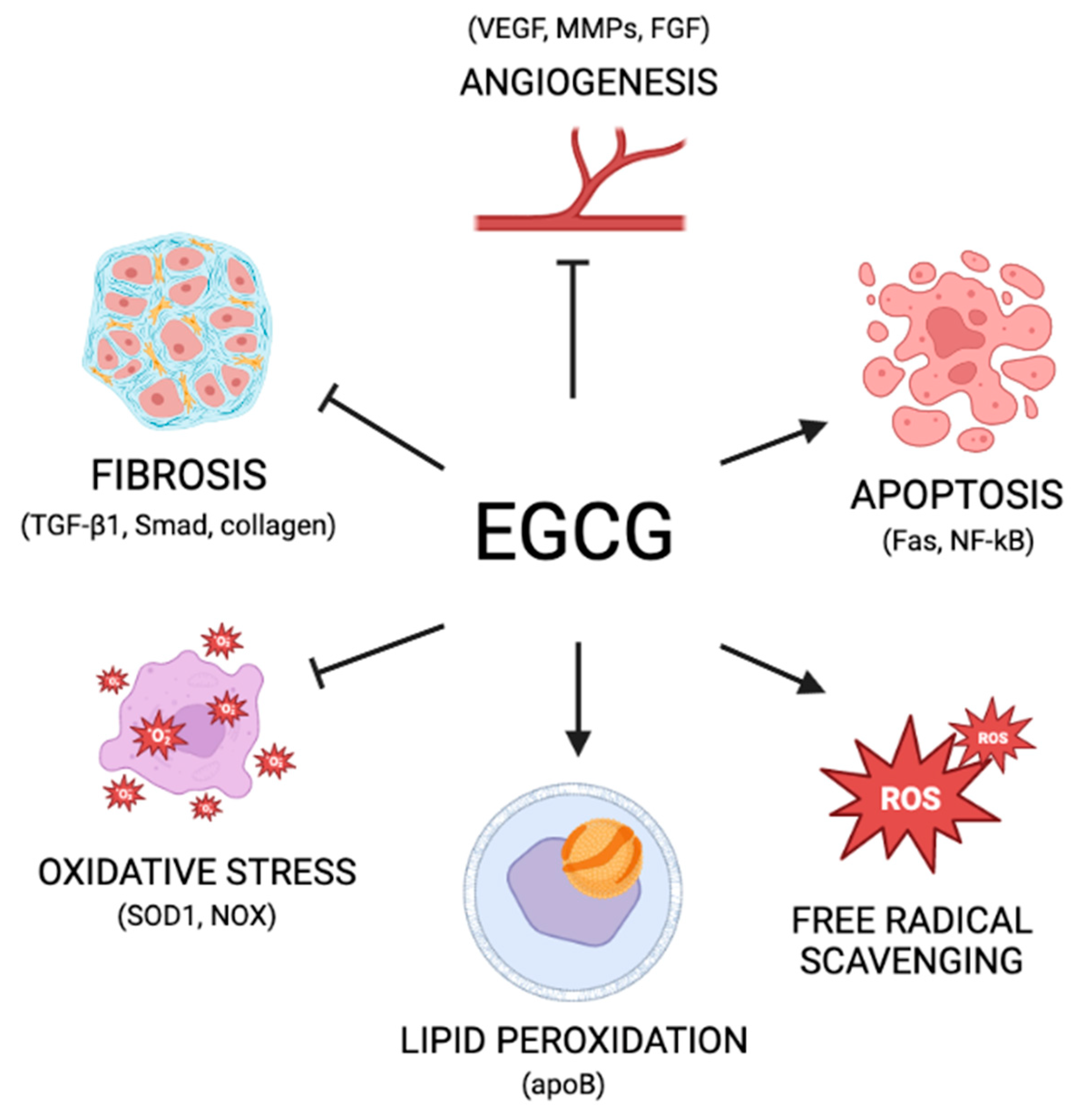 Nutrients 15 01439 g002 Nutrients 15 01439 g002