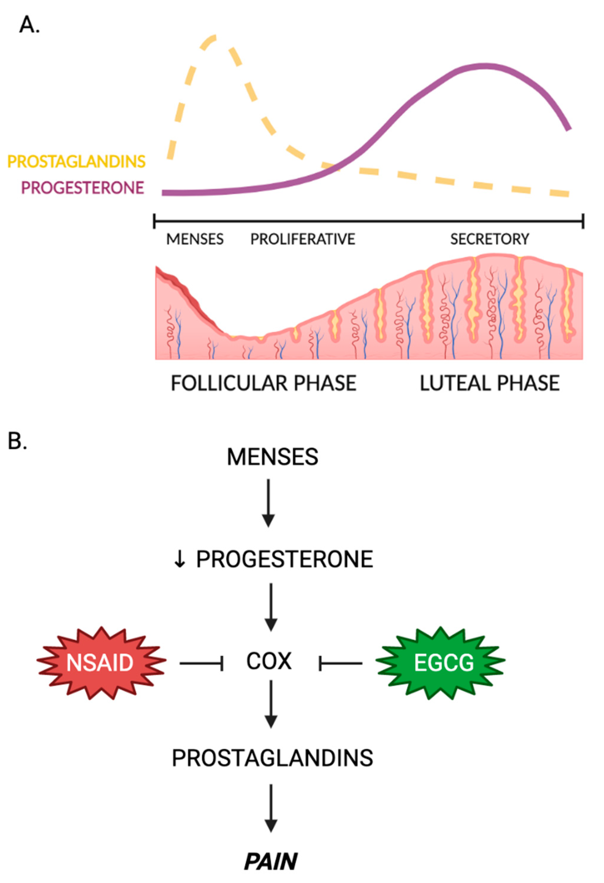 Nutrients 15 01439 g003 Nutrients 15 01439 g003