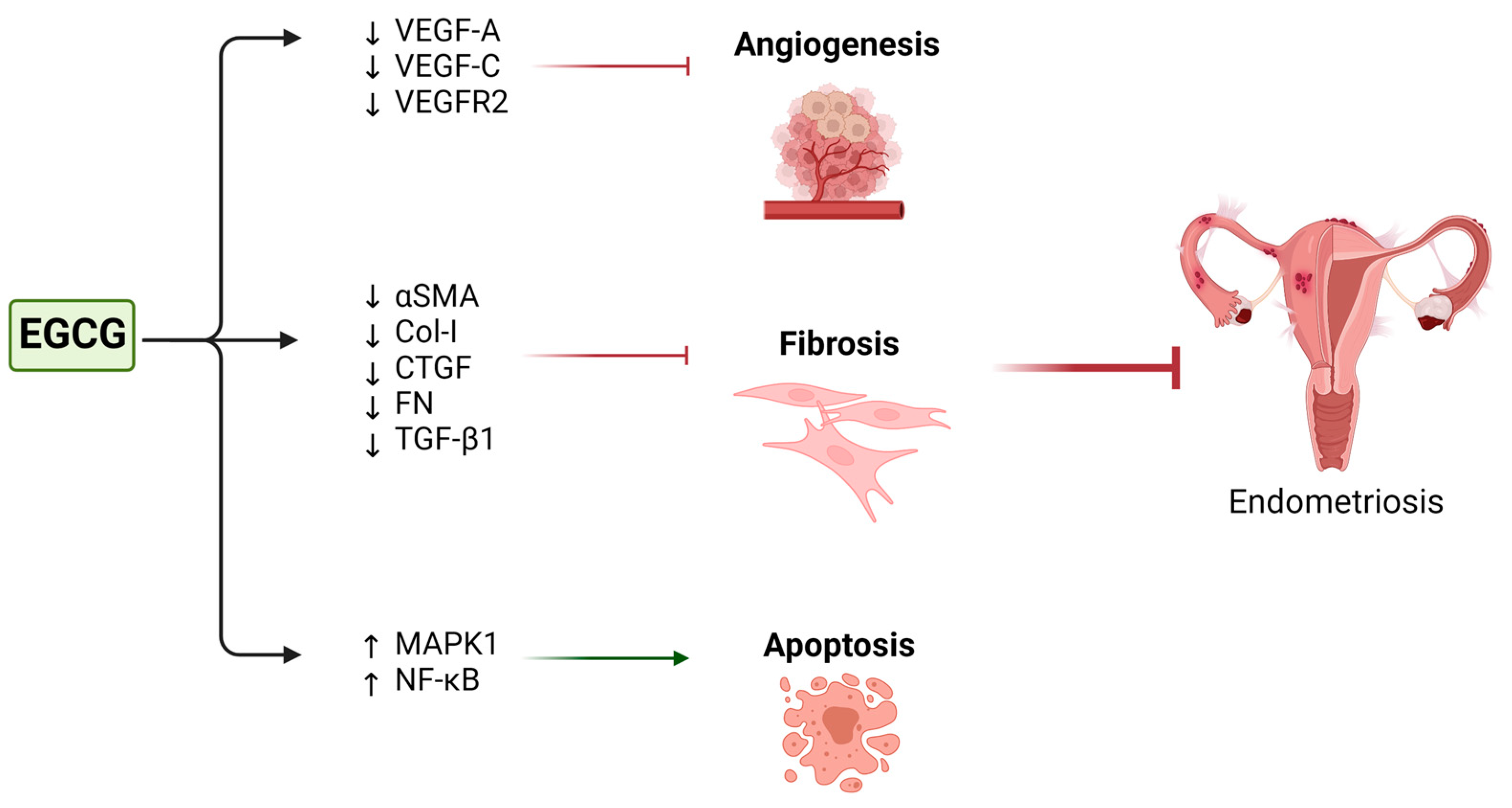 Nutrients 15 01439 g005 Nutrients 15 01439 g005