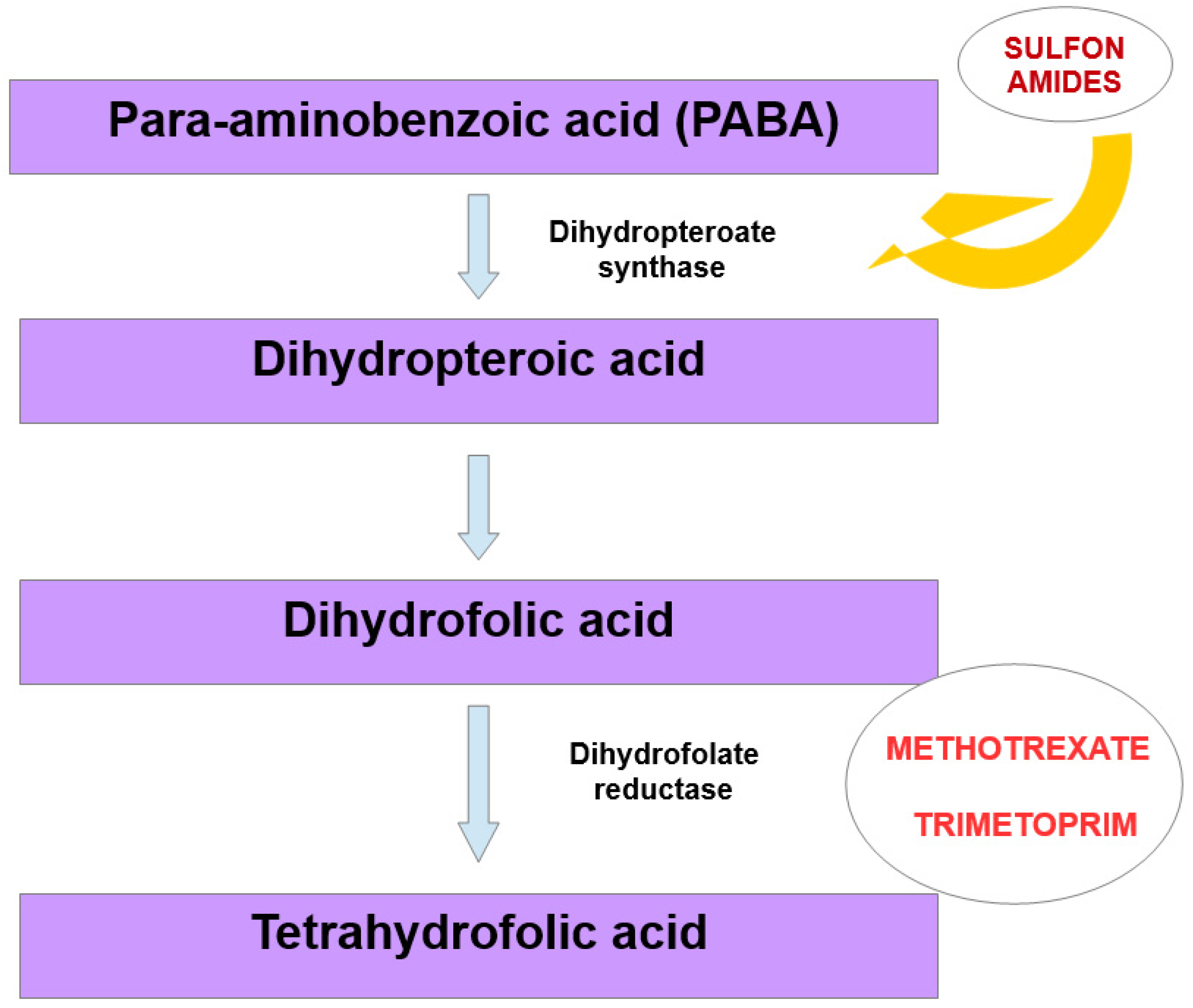 Nutrients 15 01453 g003 Nutrients 15 01453 g003