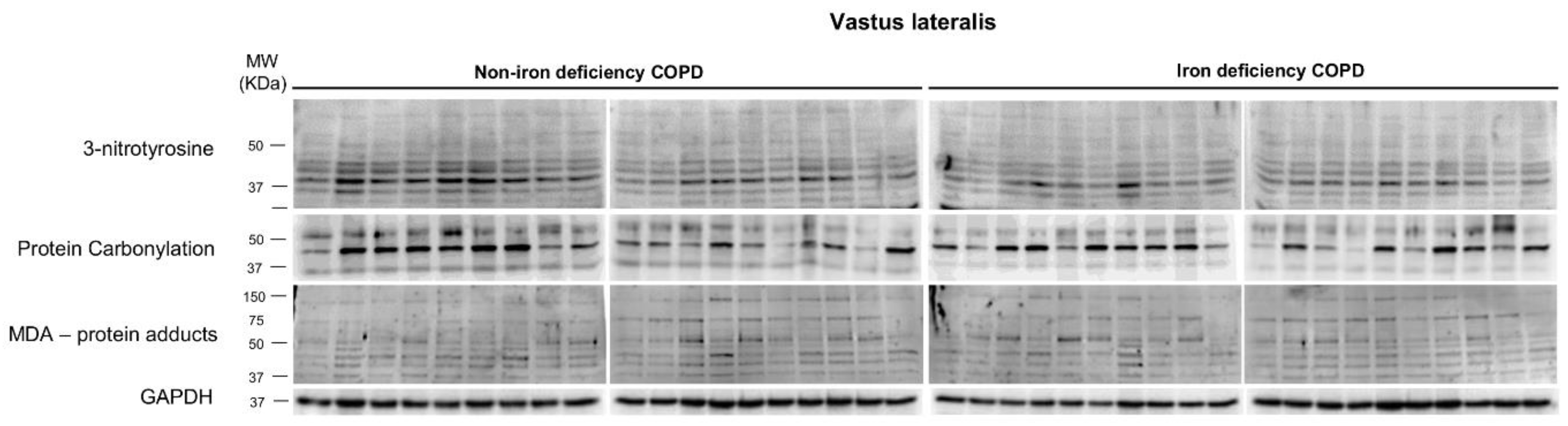 Nutrients 15 01454 g001 Nutrients 15 01454 g001