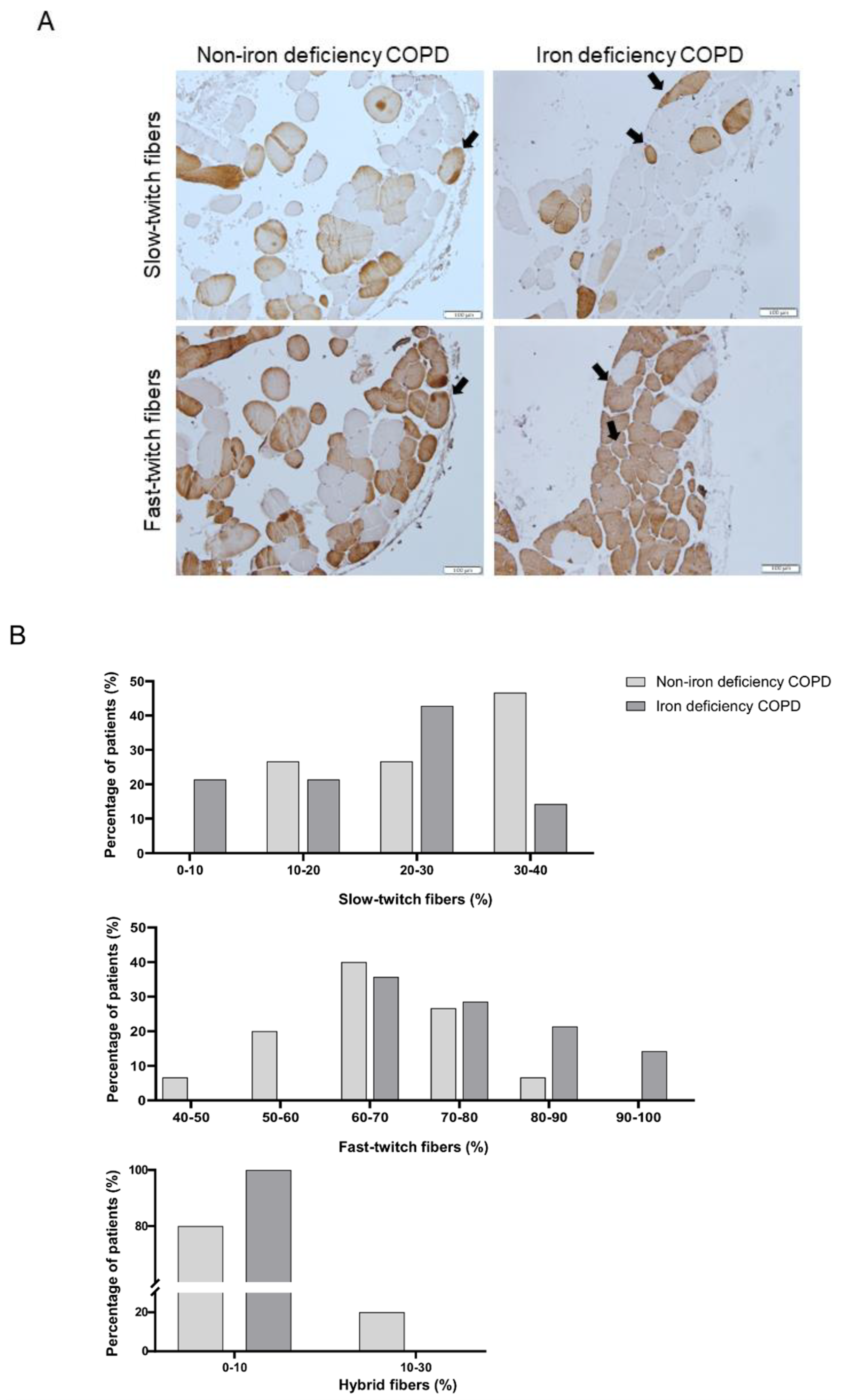 Nutrients 15 01454 g006 Nutrients 15 01454 g006