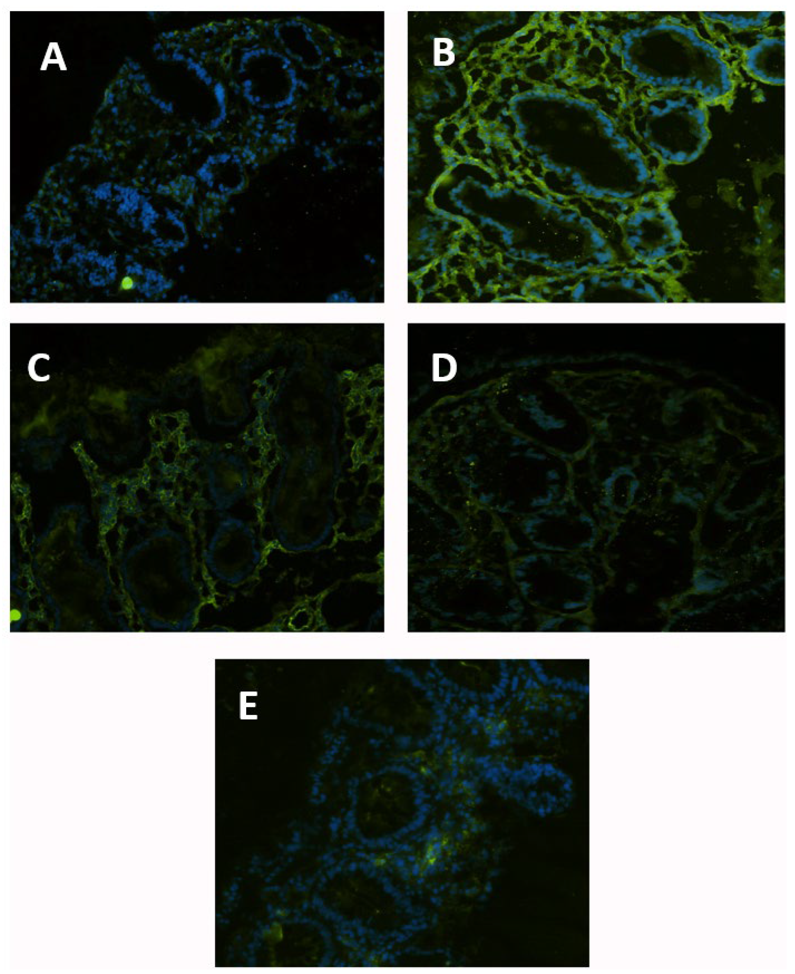 Nutrients 15 01457 g001