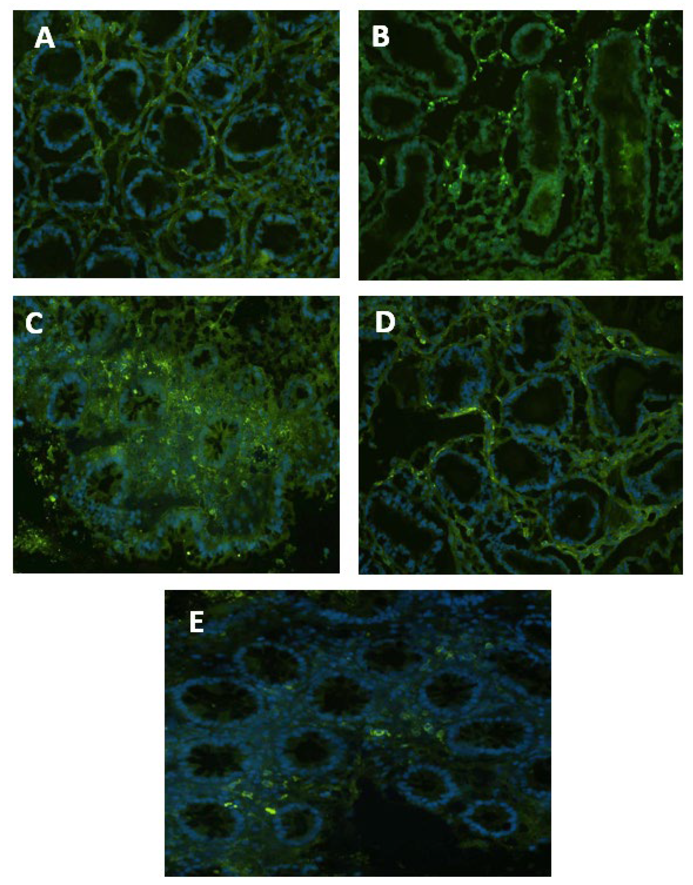 Nutrients 15 01457 g002