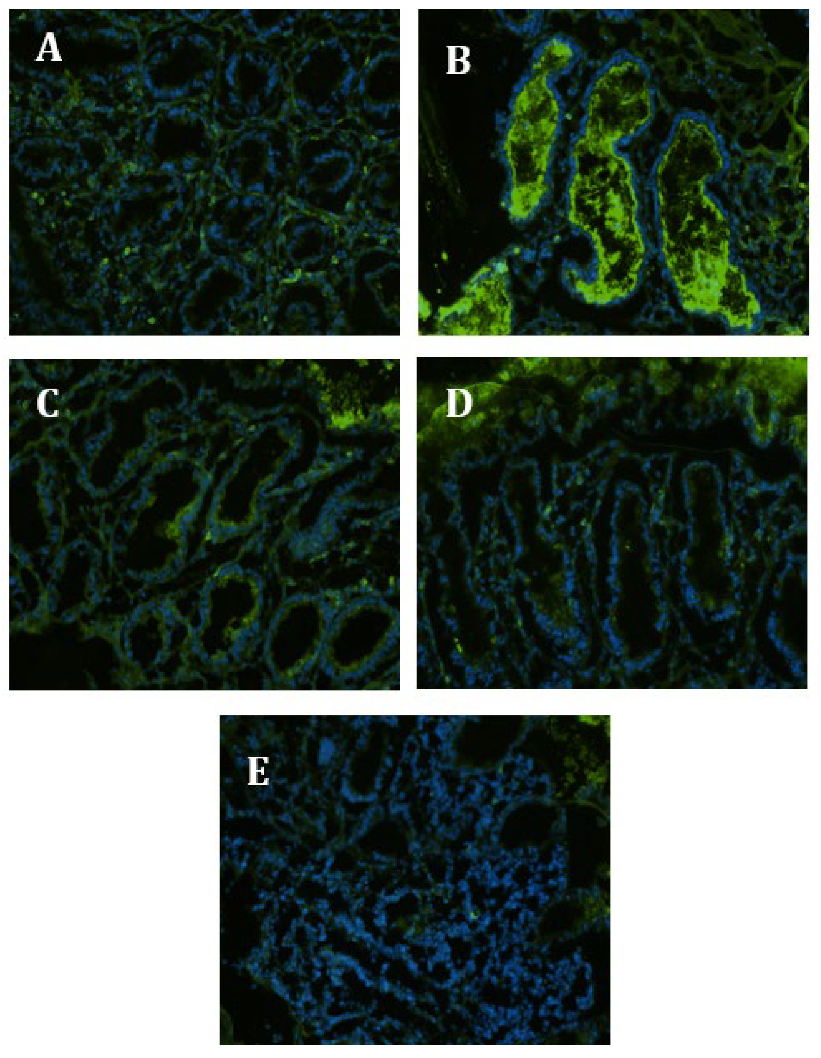 Nutrients 15 01457 g003
