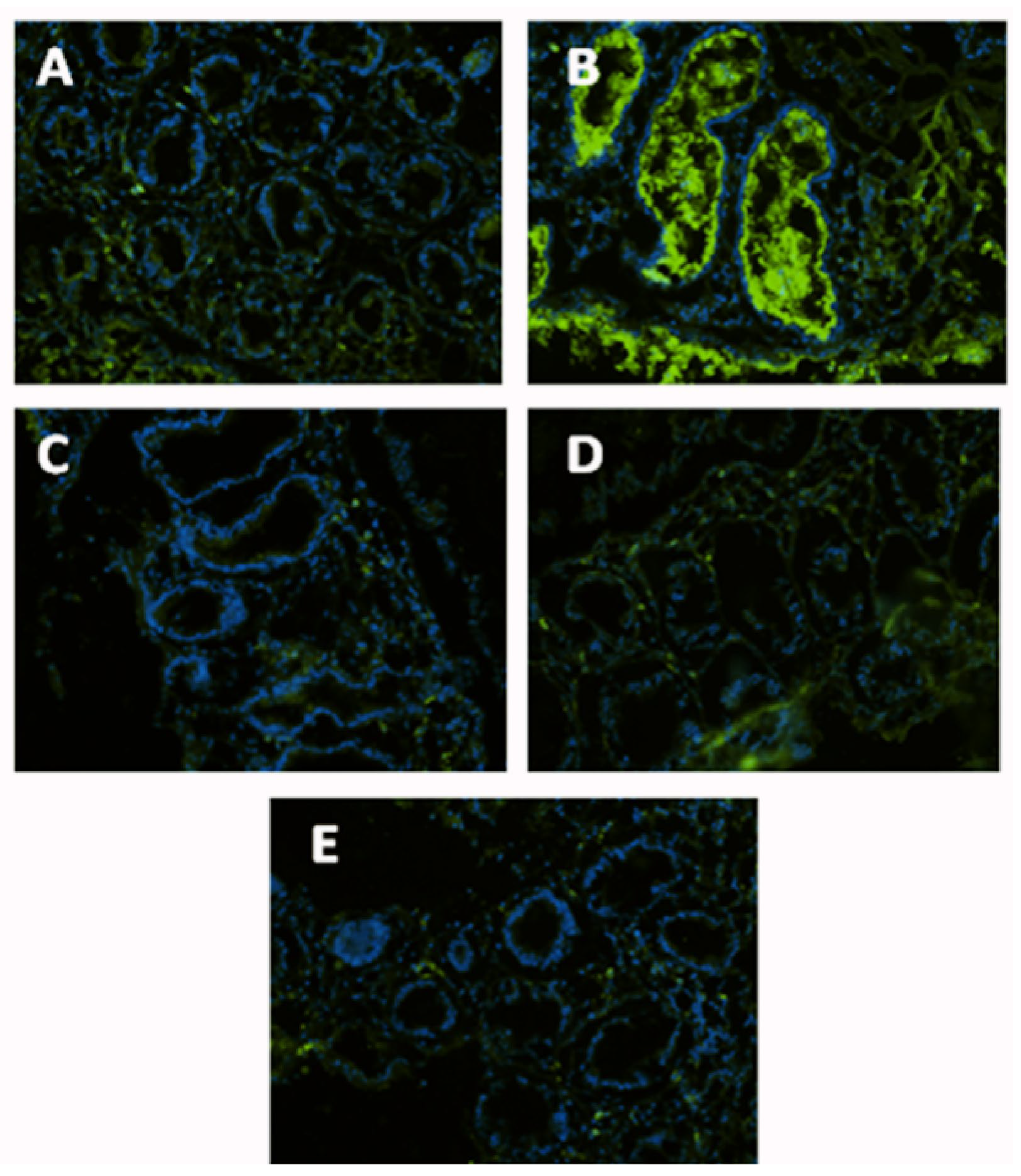 Nutrients 15 01457 g004