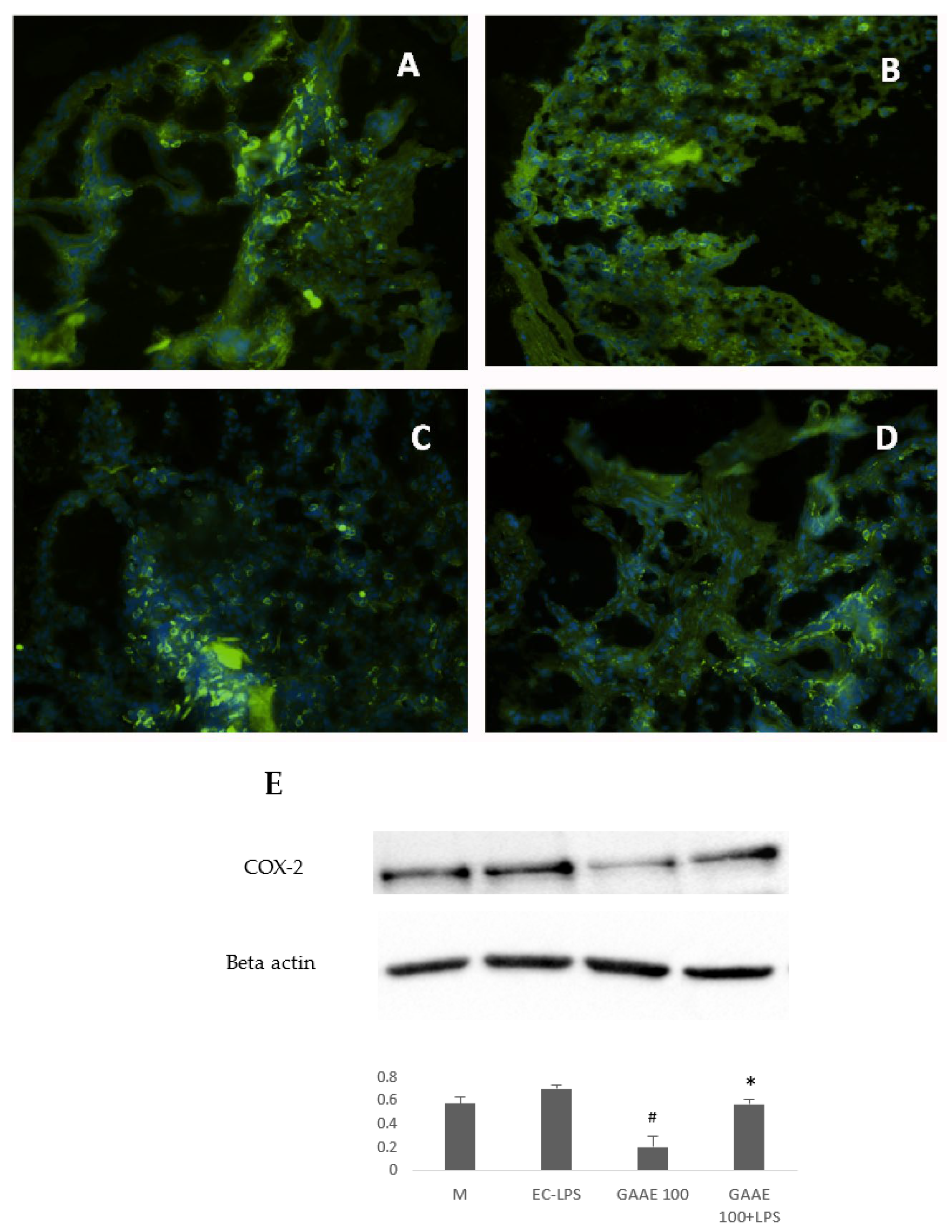 Nutrients 15 01457 g008