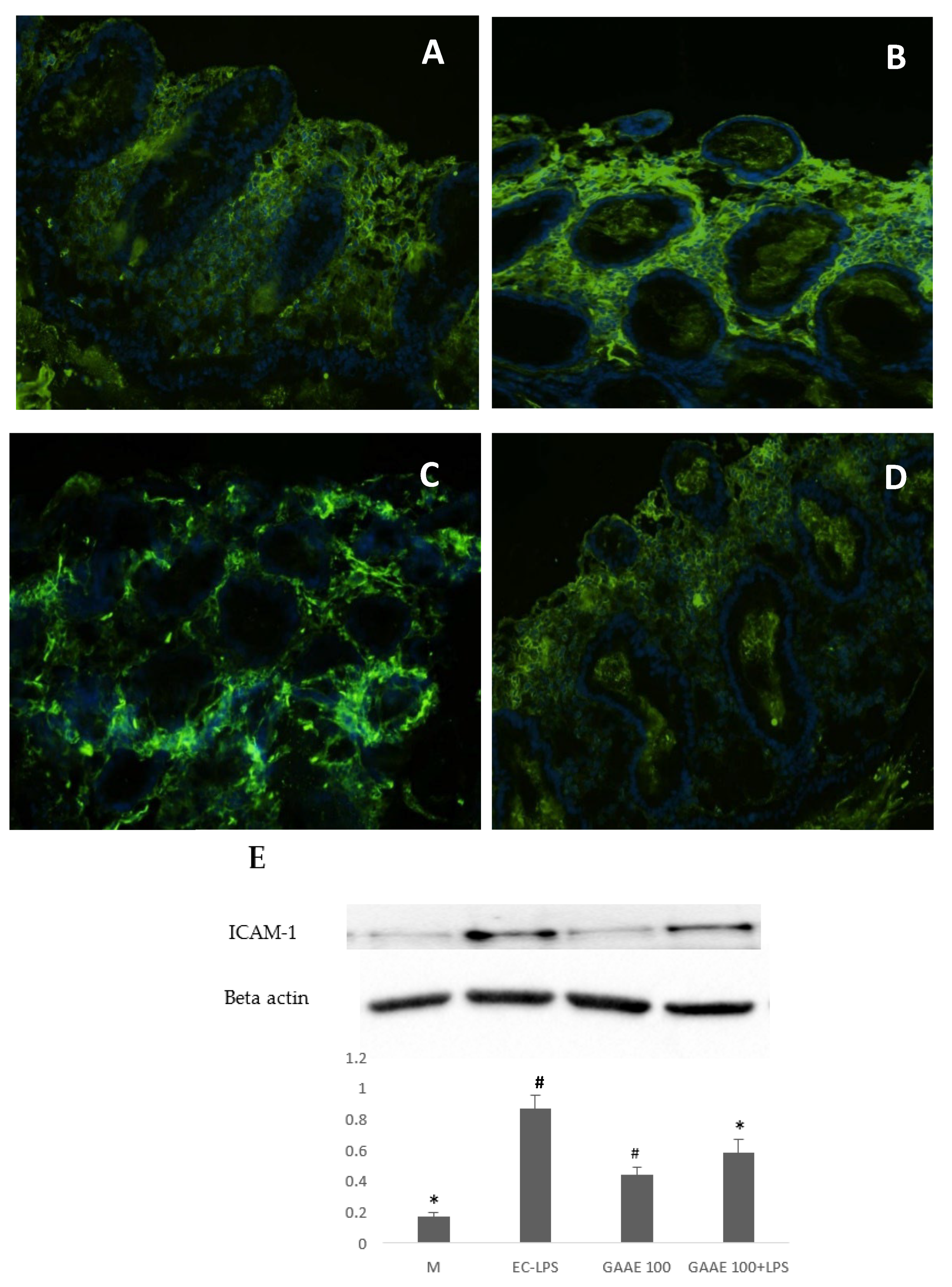 Nutrients 15 01457 g009