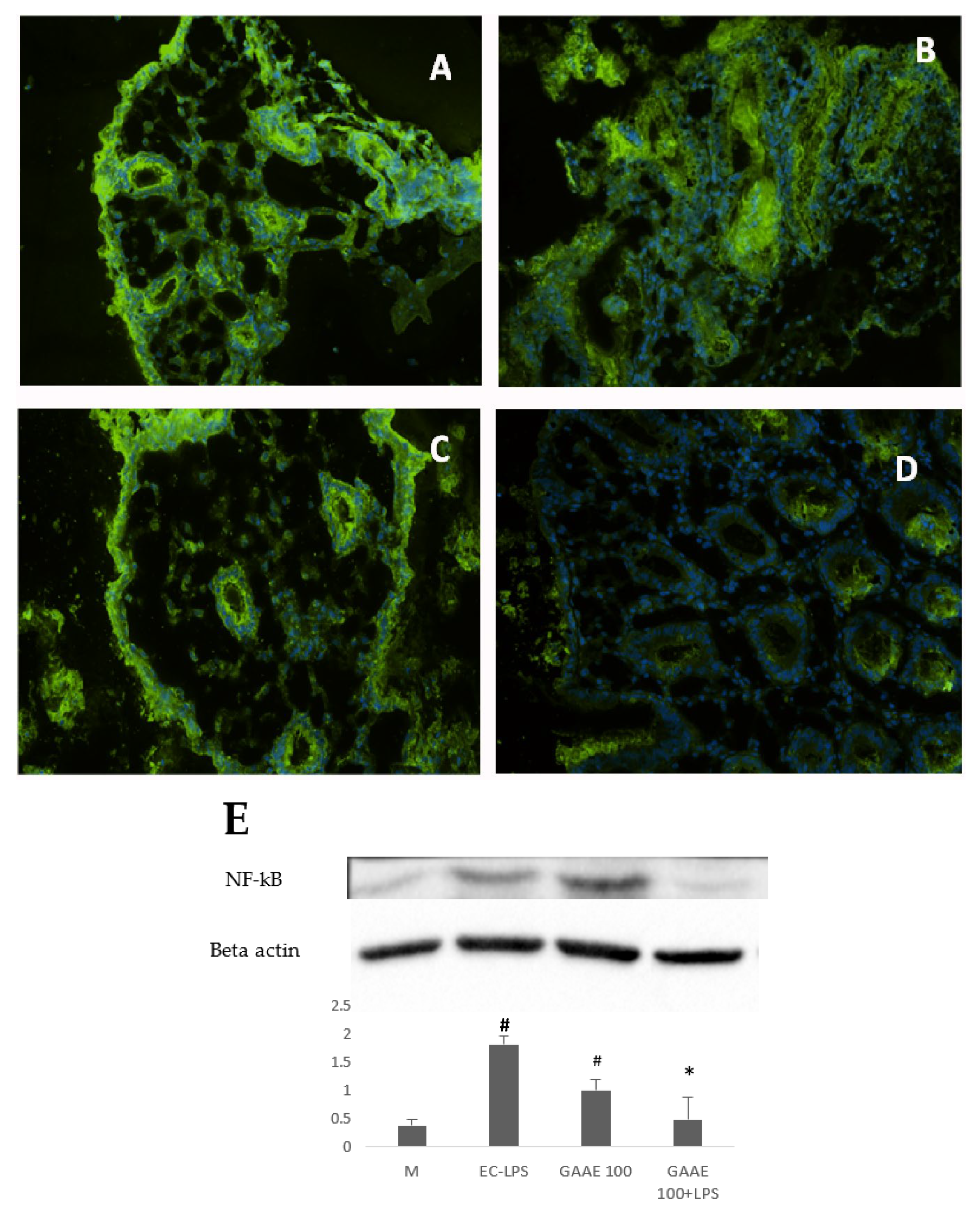 Nutrients 15 01457 g010