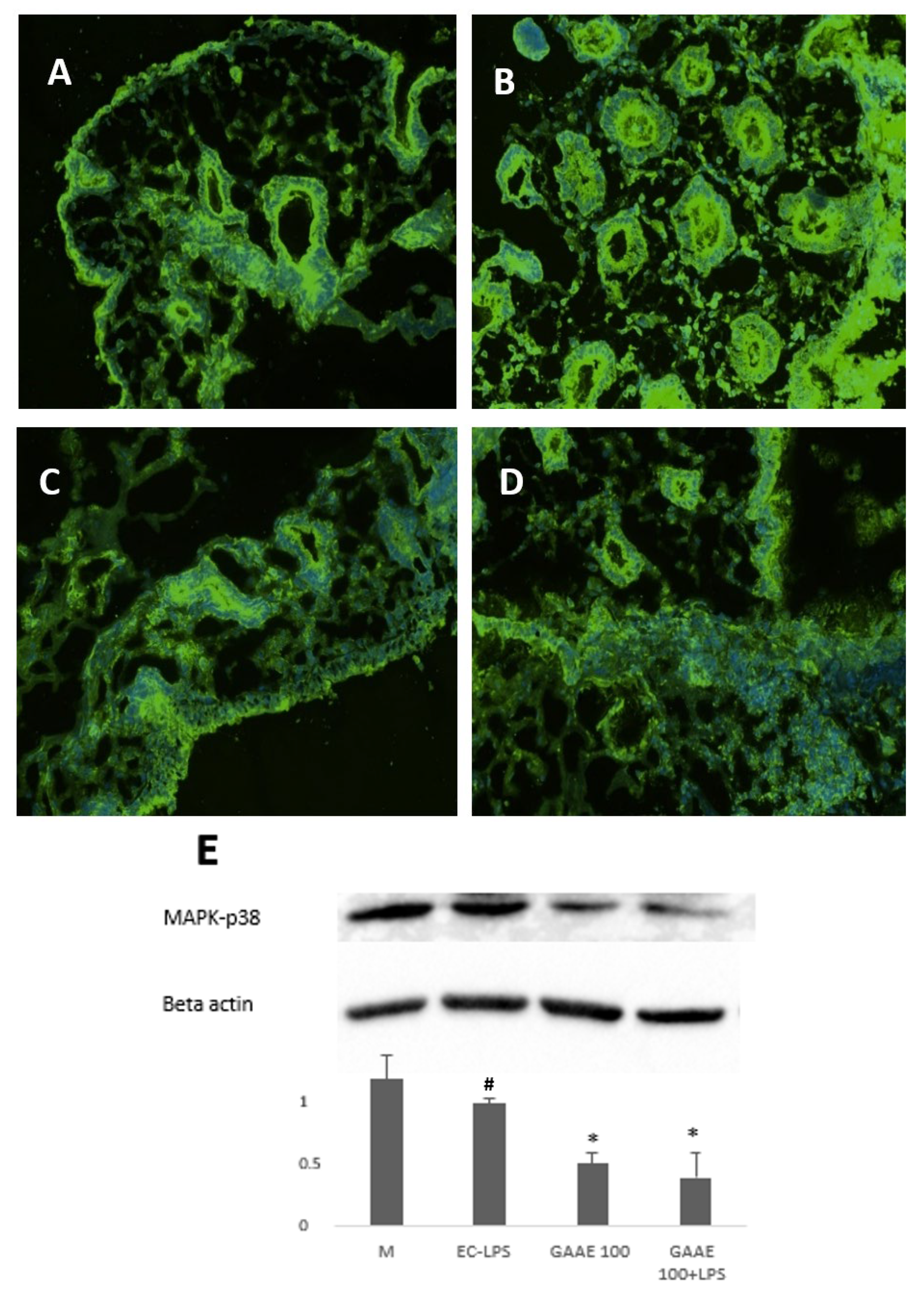 Nutrients 15 01457 g011