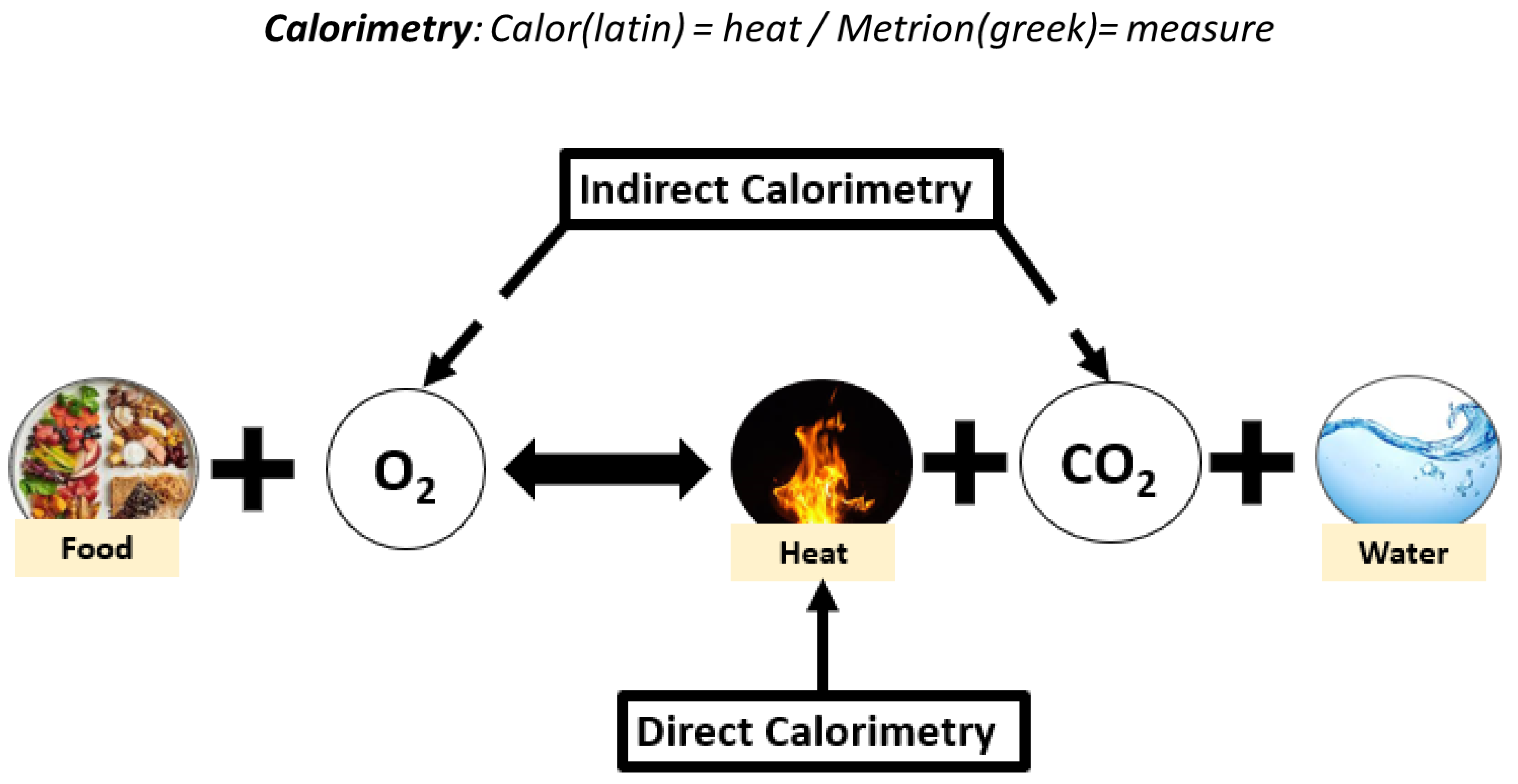 Nutrients 15 01475 g002 Nutrients 15 01475 g002