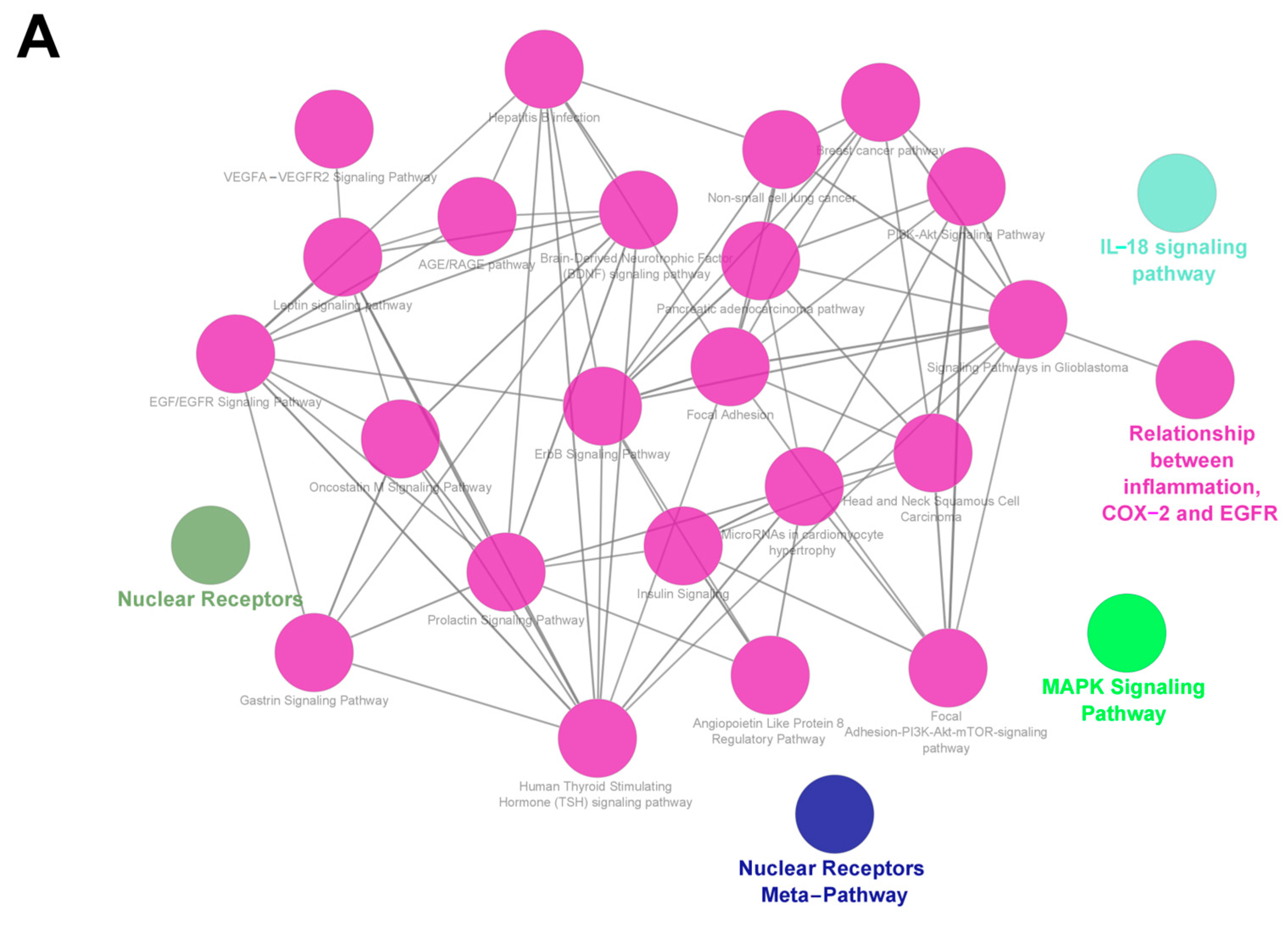 Nutrients 15 01487 g003a Nutrients 15 01487 g003a