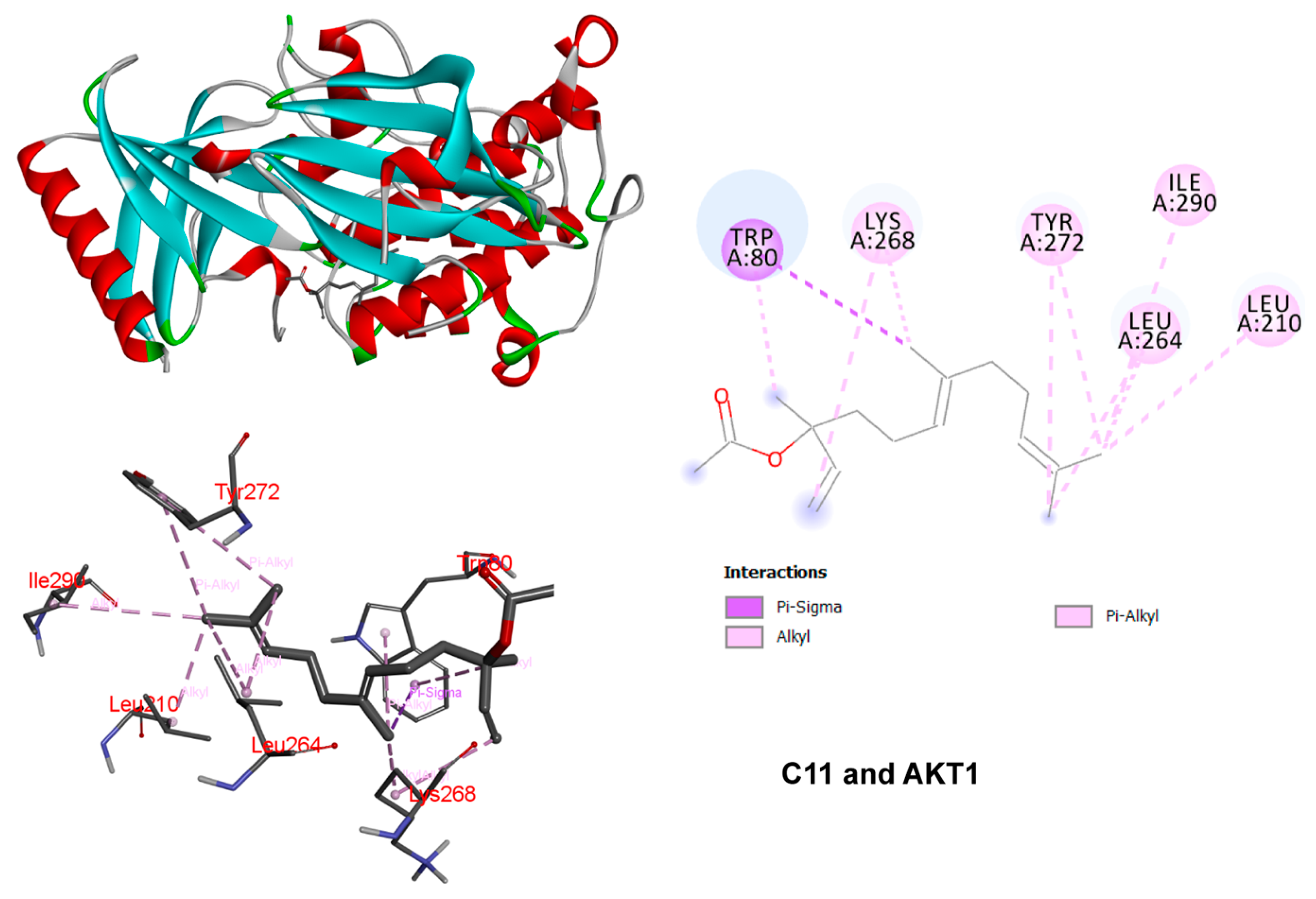 Nutrients 15 01487 g007b Nutrients 15 01487 g007b
