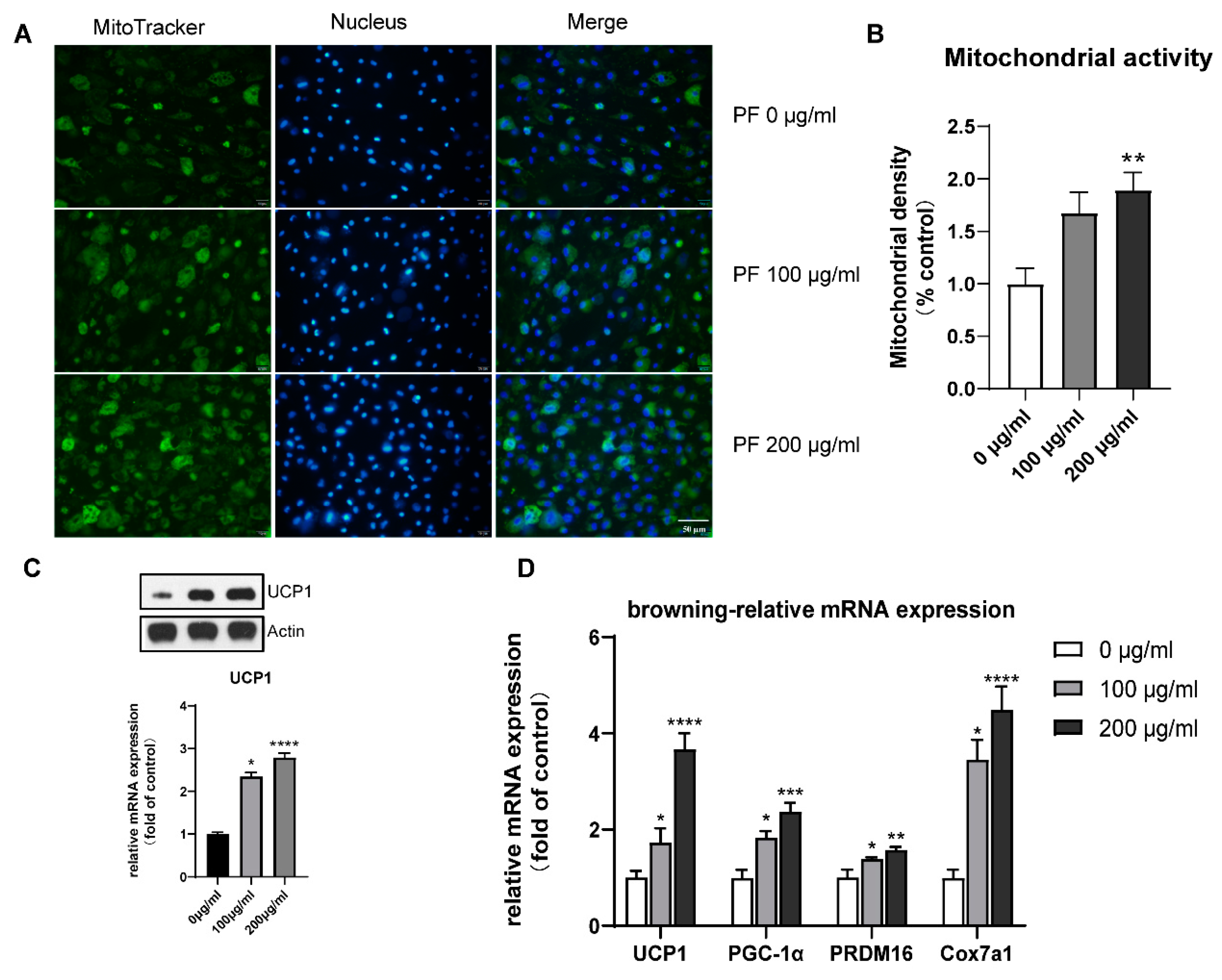 Nutrients 15 01487 g011 Nutrients 15 01487 g011
