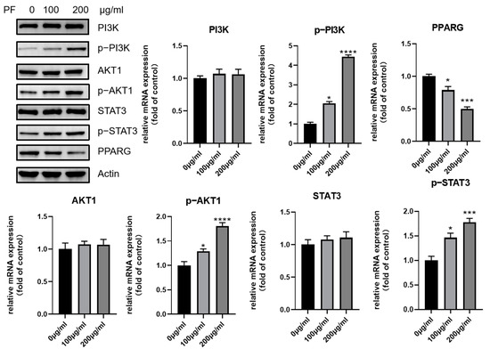 M Slipper clutch | Honda CBR 600RR Forum