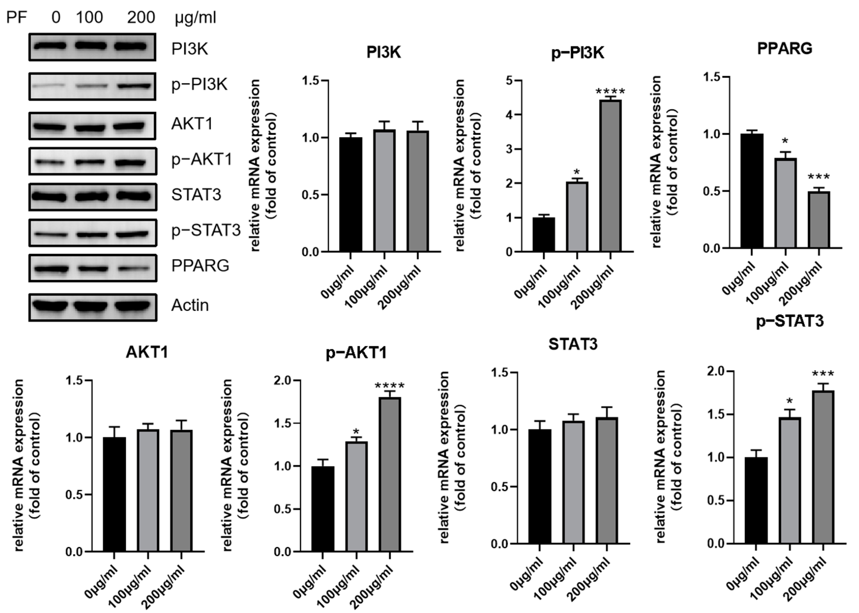 Nutrients 15 01487 g013 Nutrients 15 01487 g013