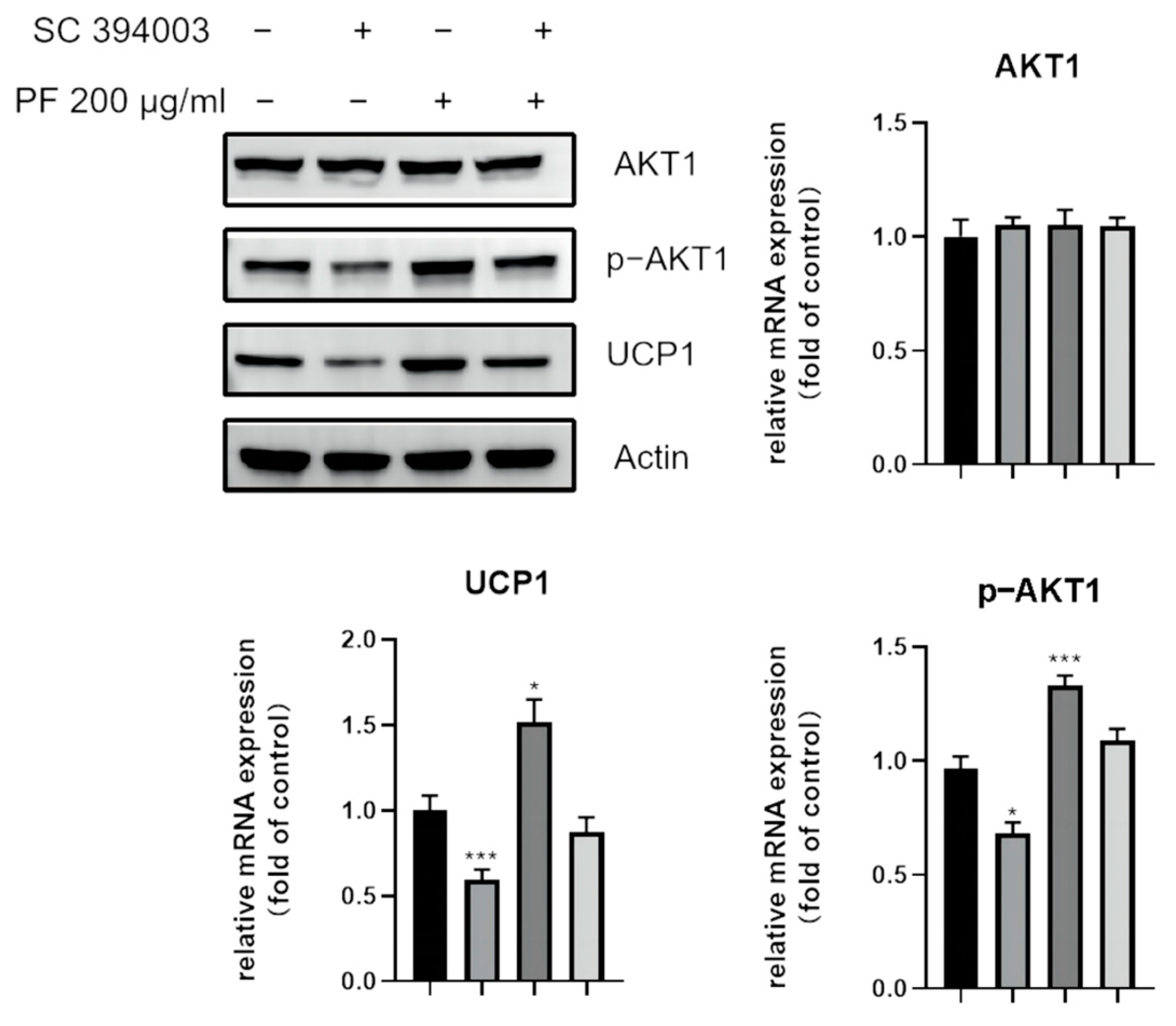 Nutrients 15 01487 g015 Nutrients 15 01487 g015