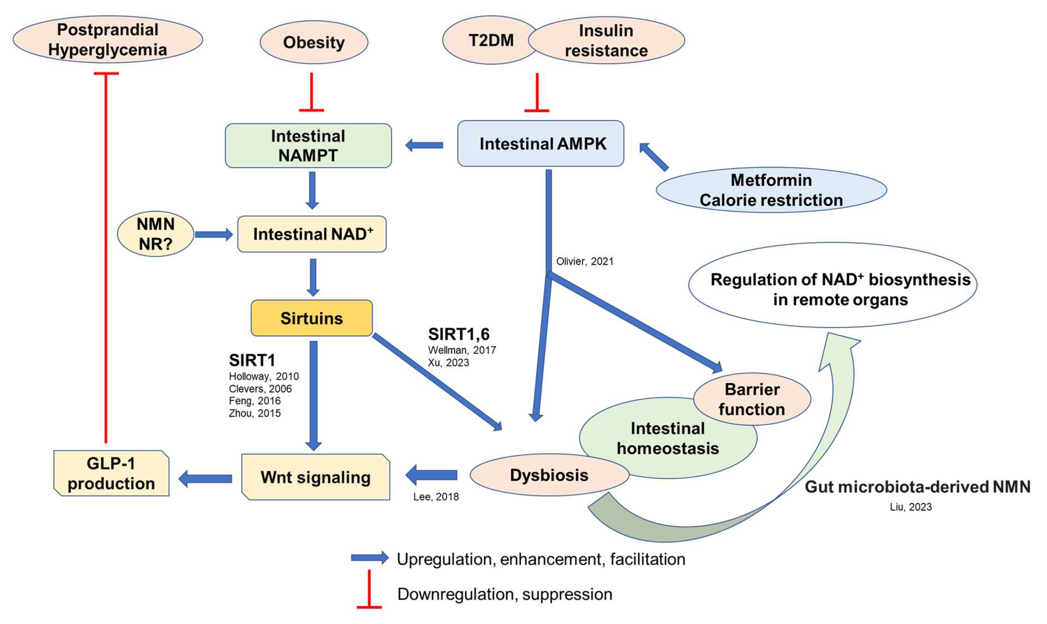 Nutrients 15 01494 g003