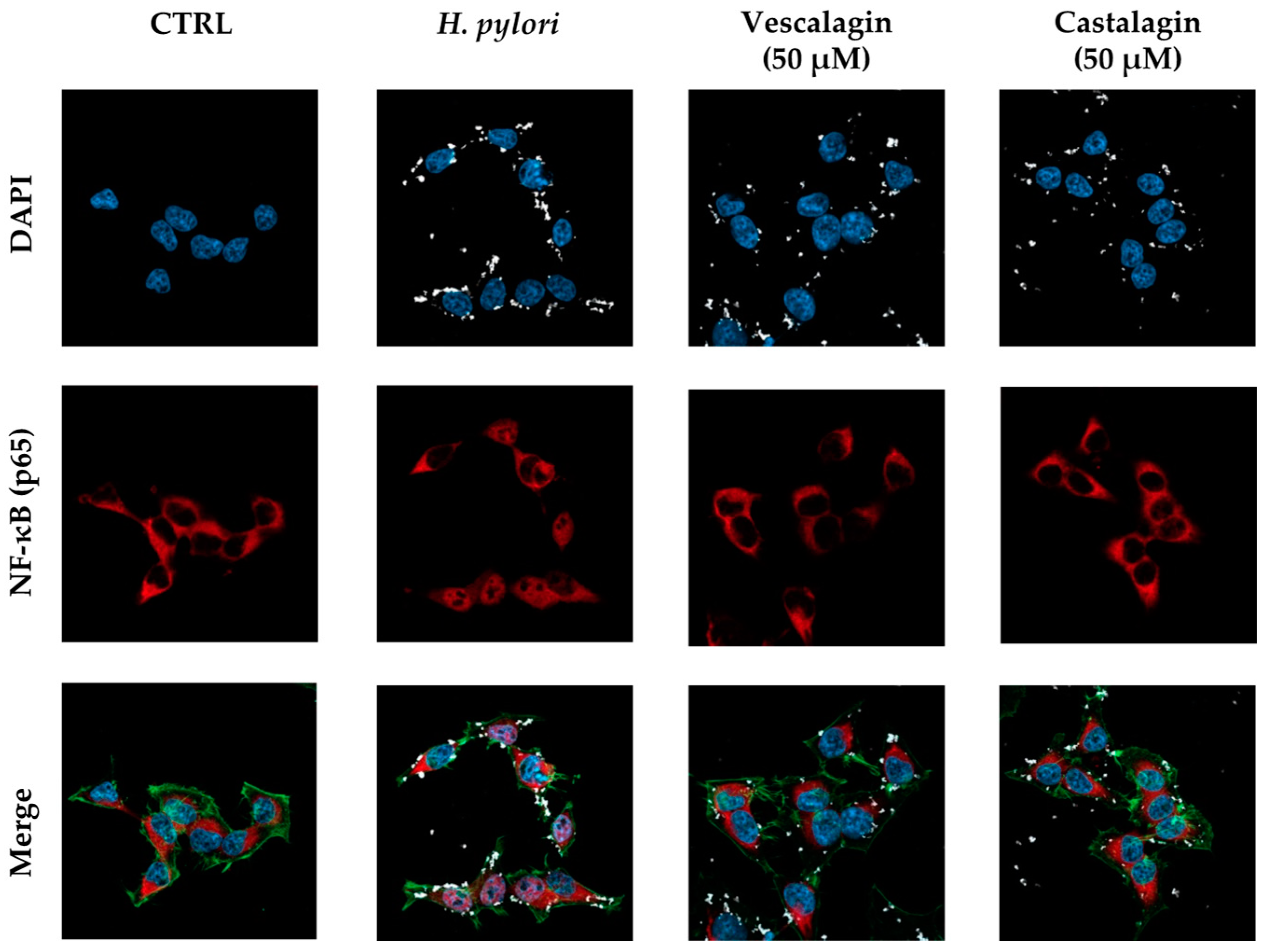 Nutrients 15 01504 g005