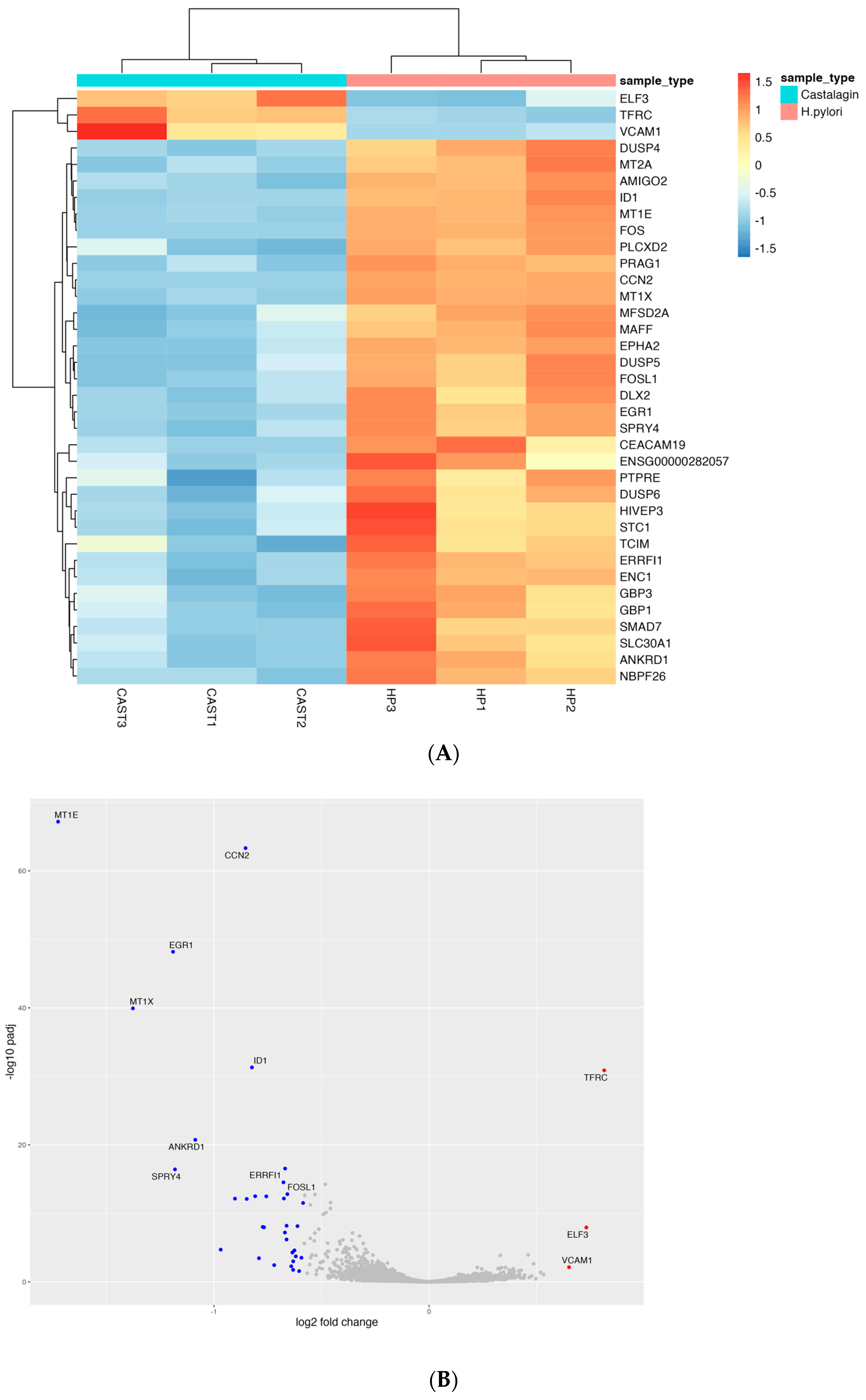 Nutrients 15 01504 g009