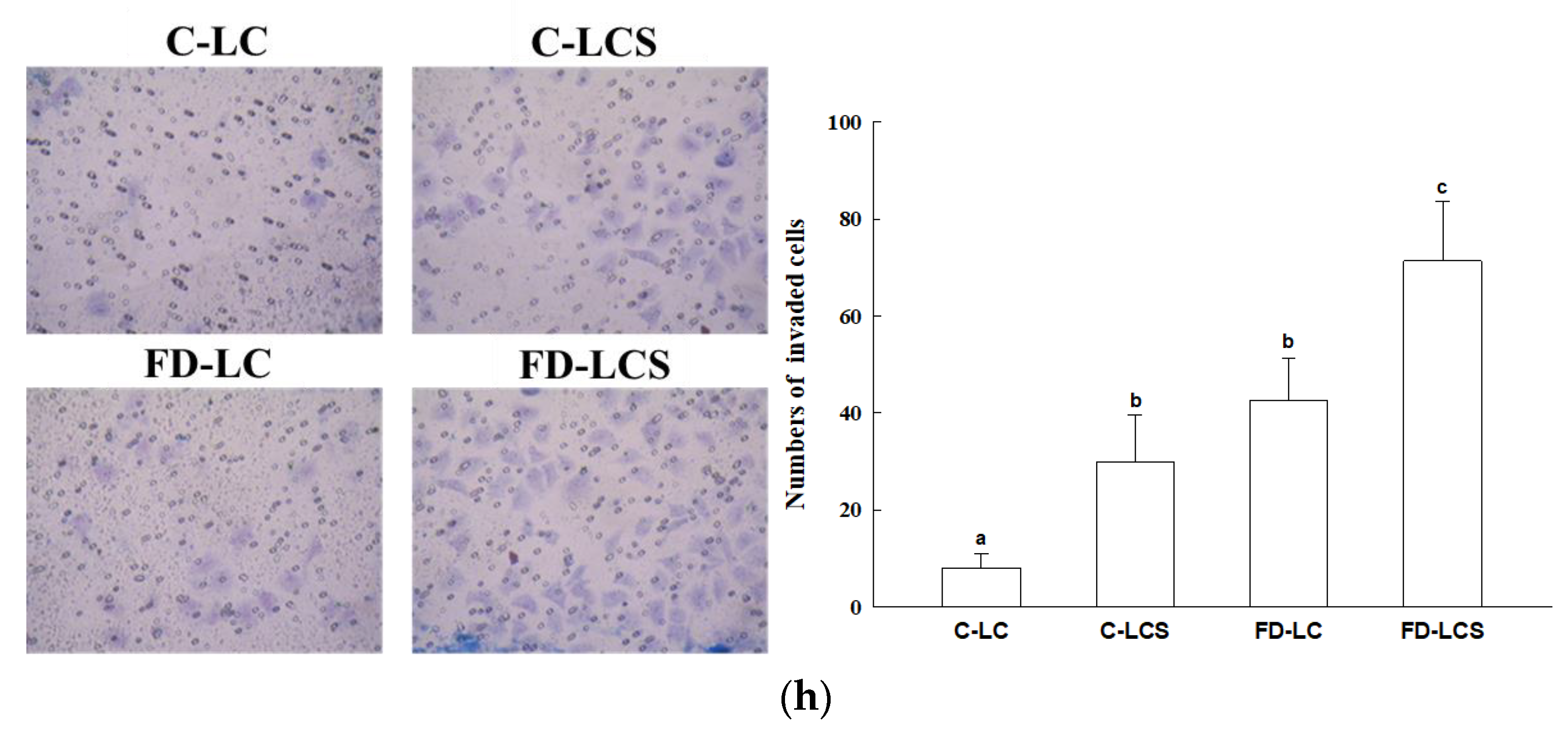 Nutrients 15 01514 g001c Nutrients 15 01514 g001c