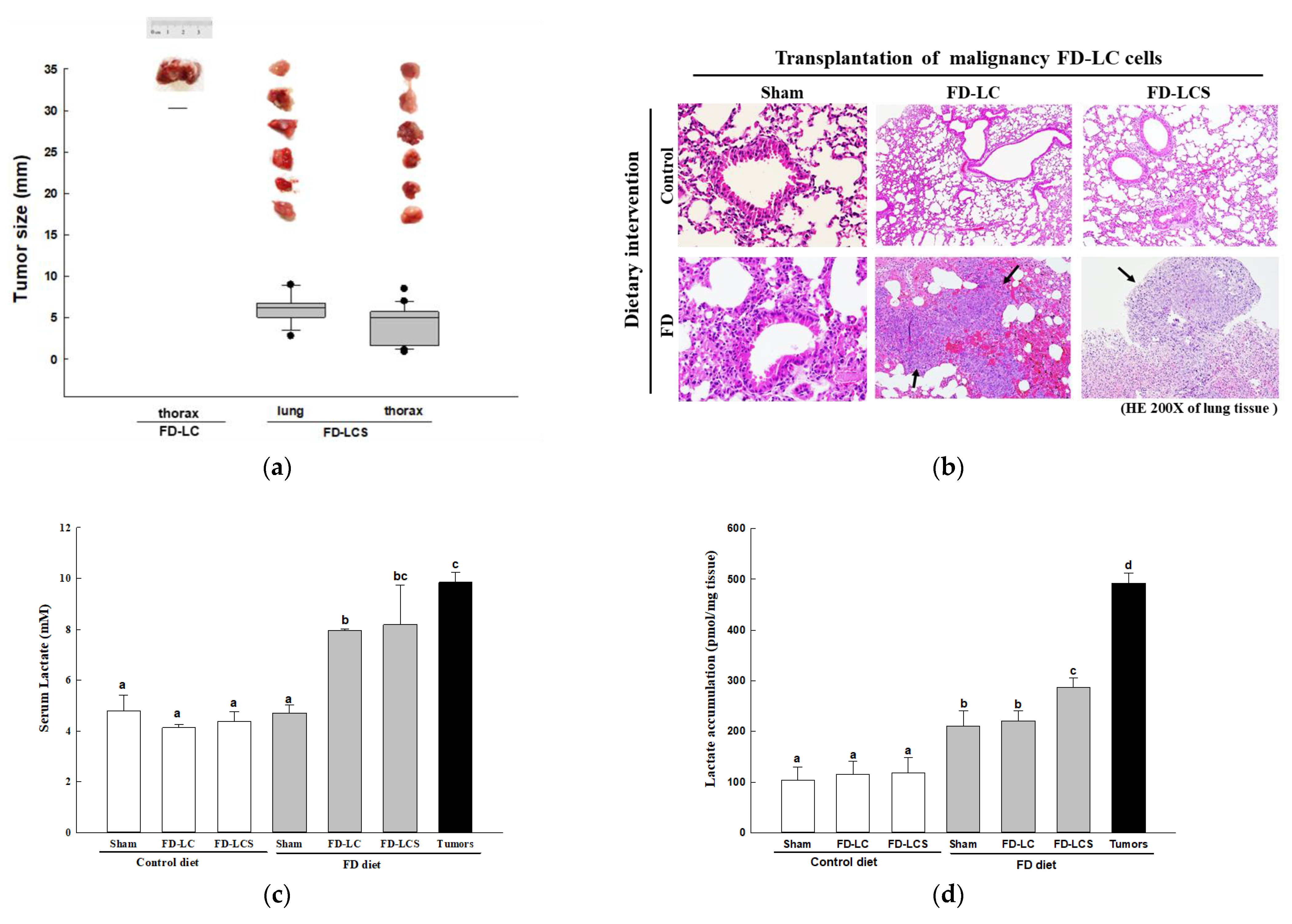 Nutrients 15 01514 g002a Nutrients 15 01514 g002a