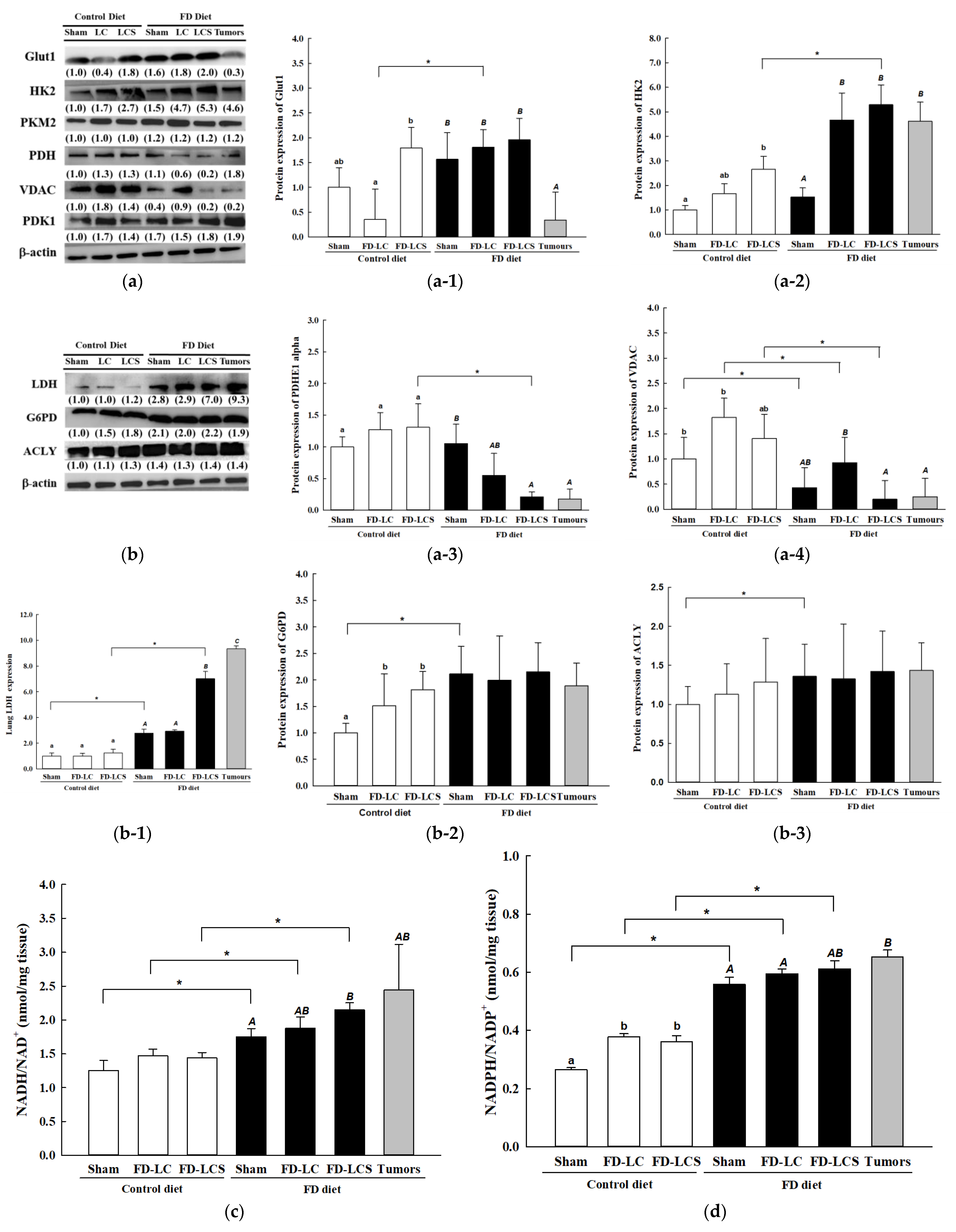 Nutrients 15 01514 g003 Nutrients 15 01514 g003