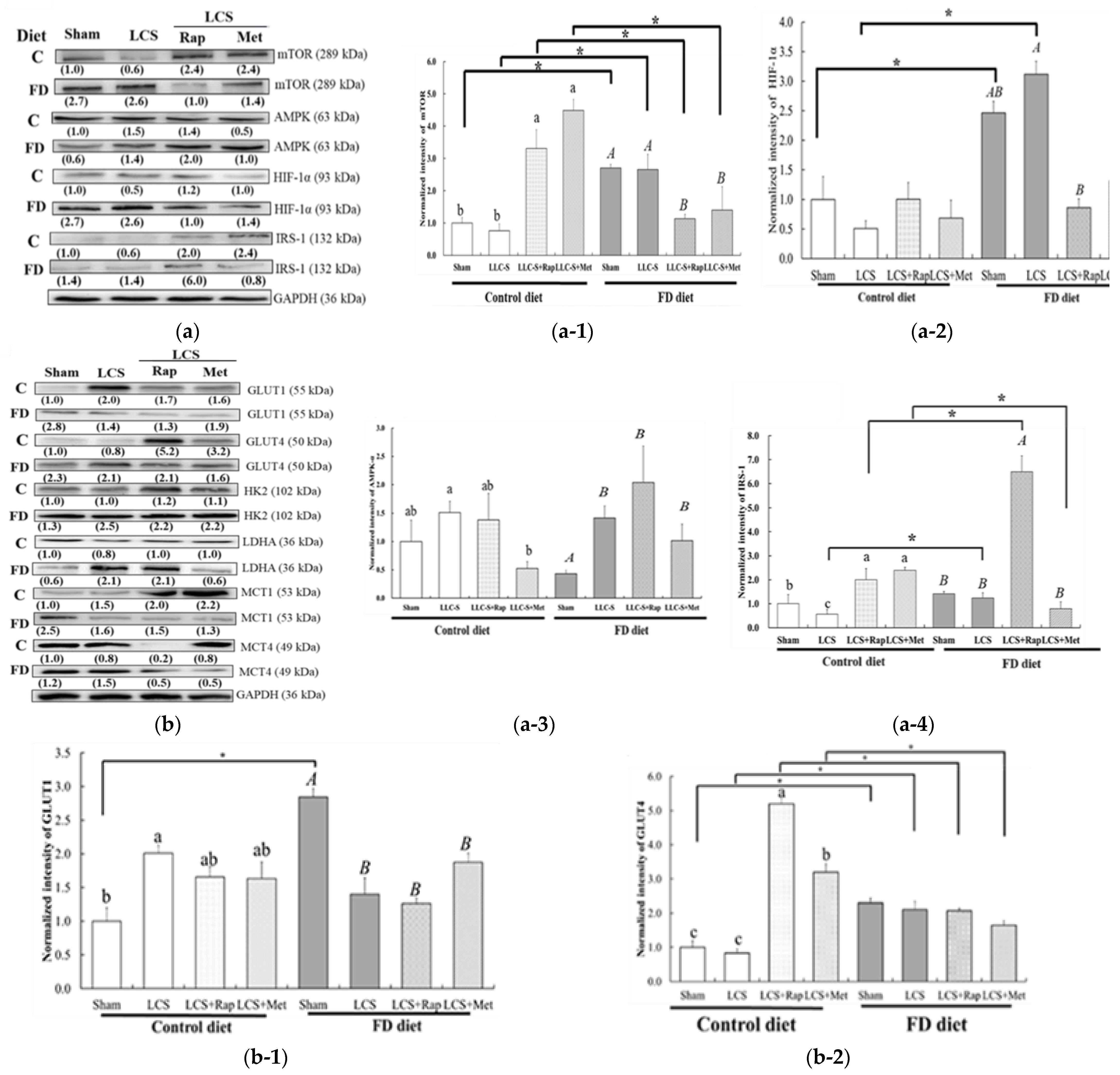 Nutrients 15 01514 g006a Nutrients 15 01514 g006a