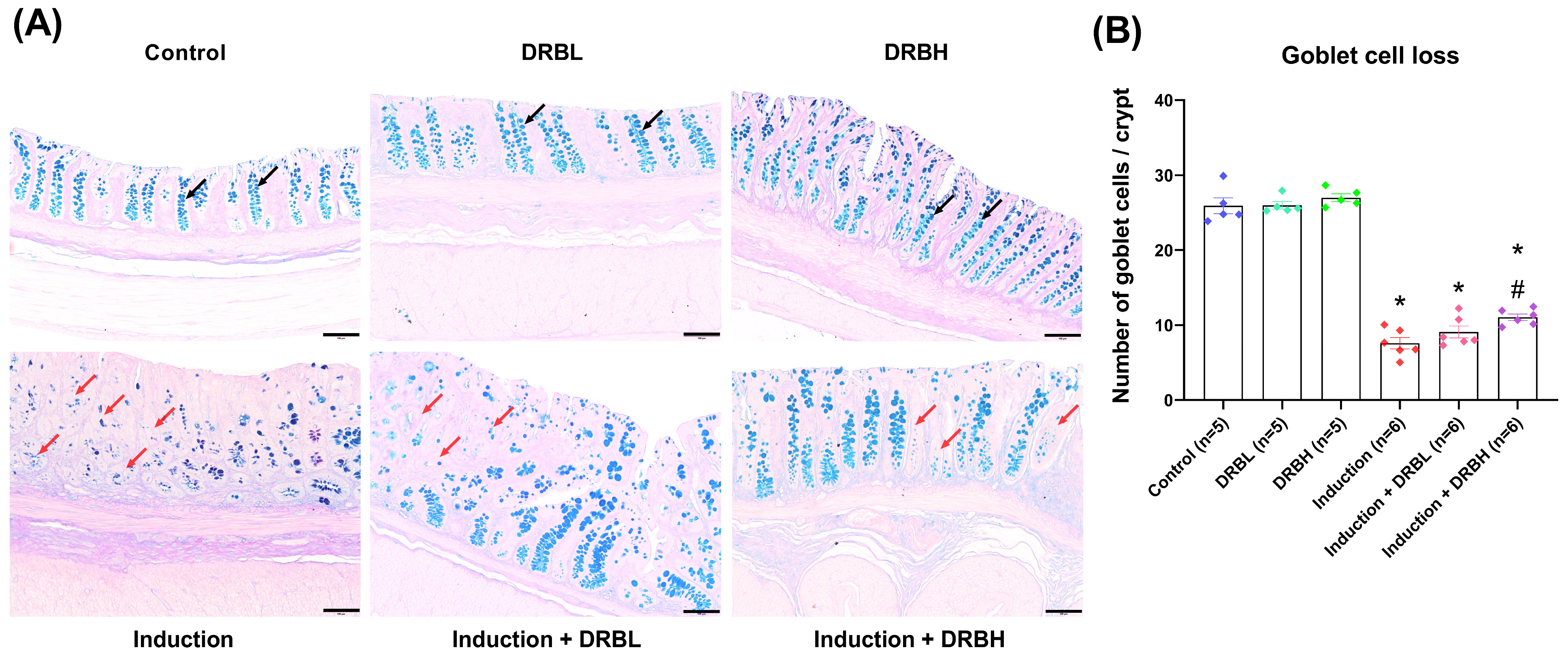 Nutrients 15 01528 g002 Nutrients 15 01528 g002