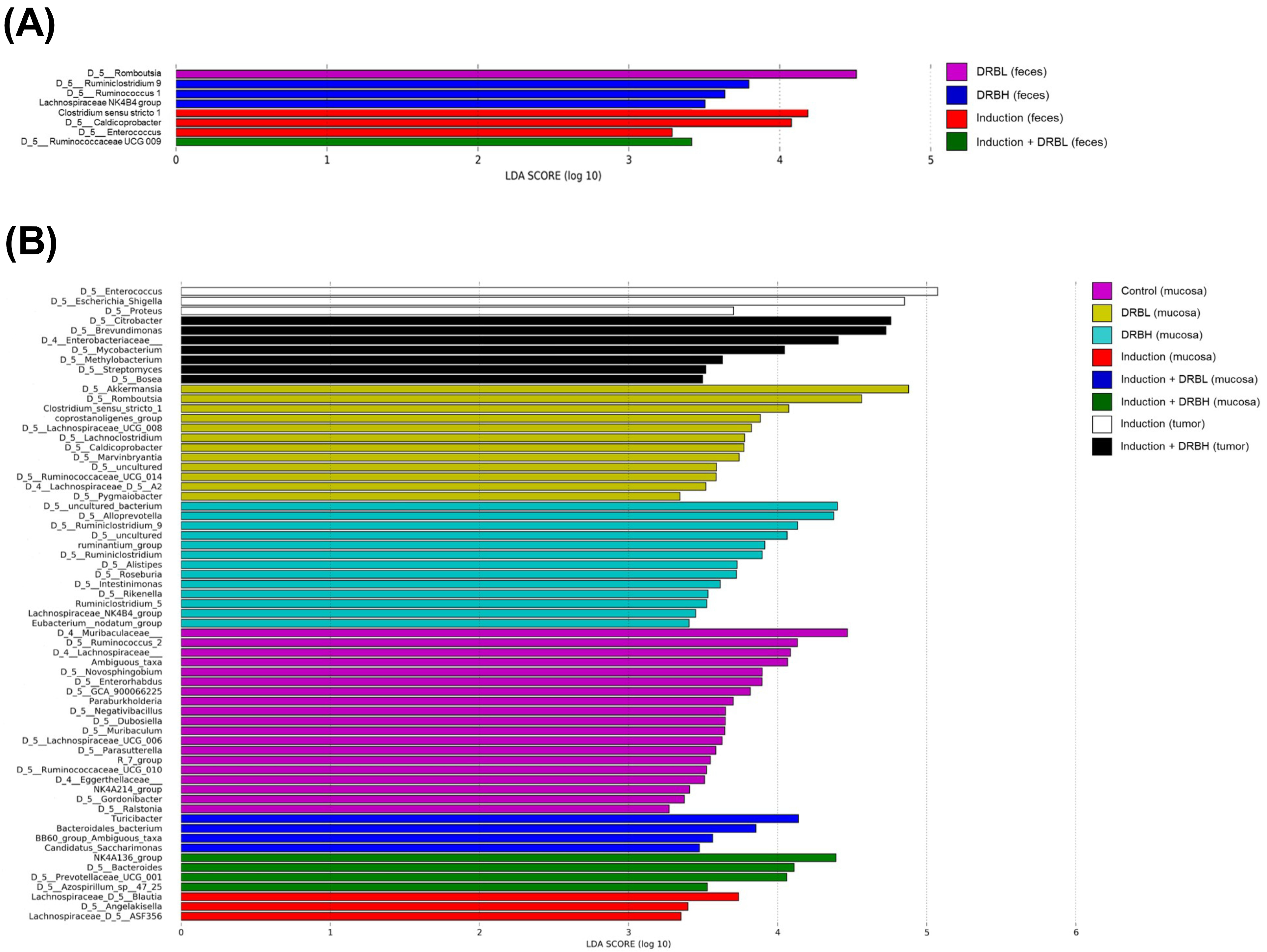 Nutrients 15 01528 g009 Nutrients 15 01528 g009