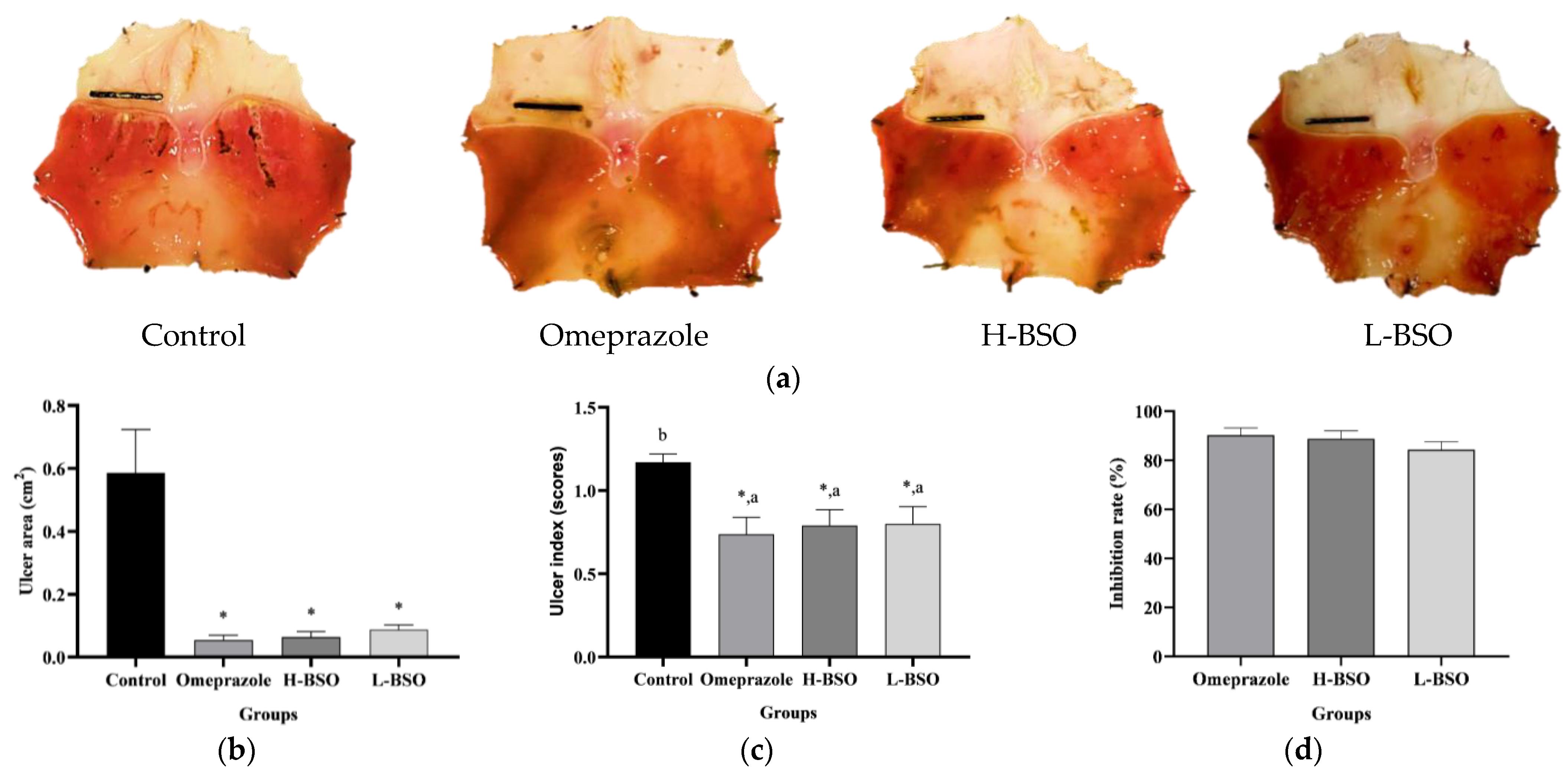 Nutrients 15 01532 g001