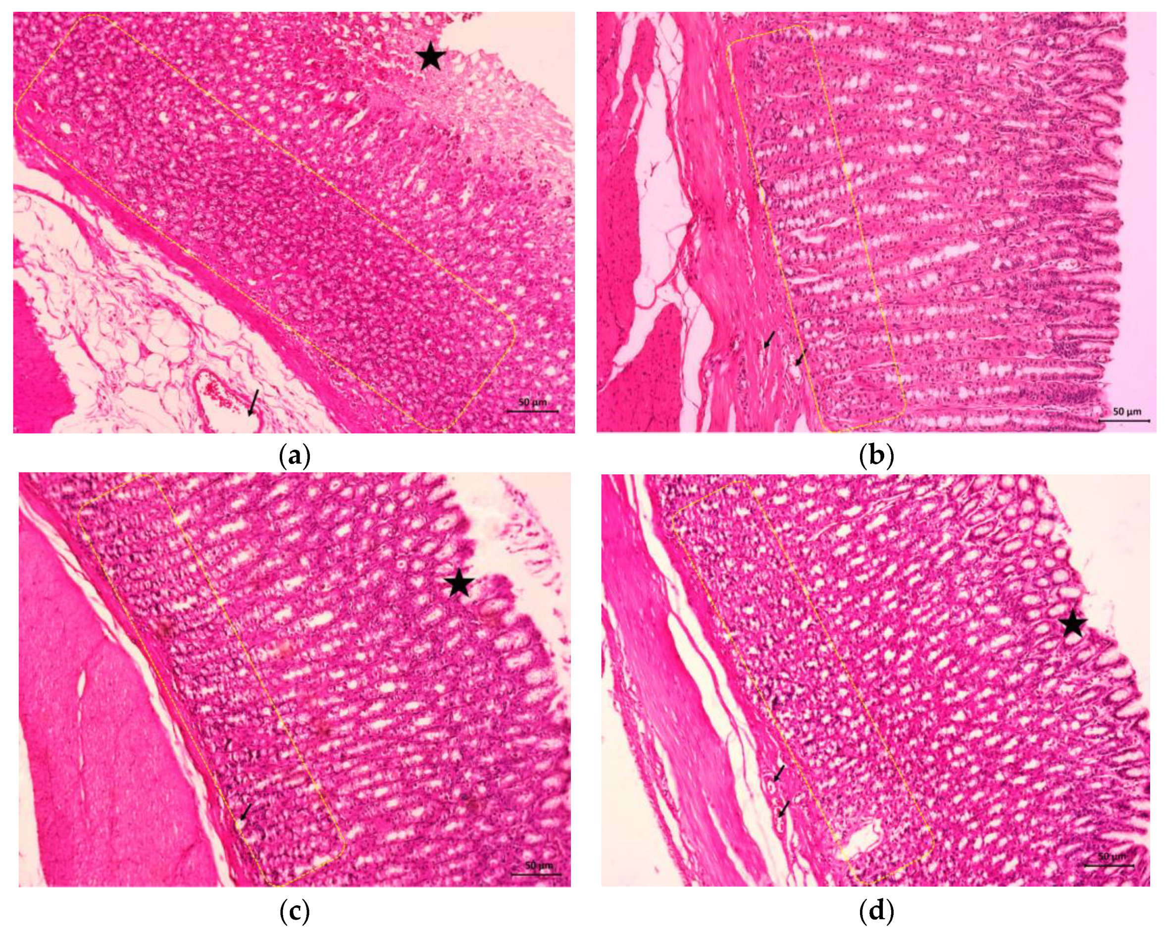 Nutrients 15 01532 g002