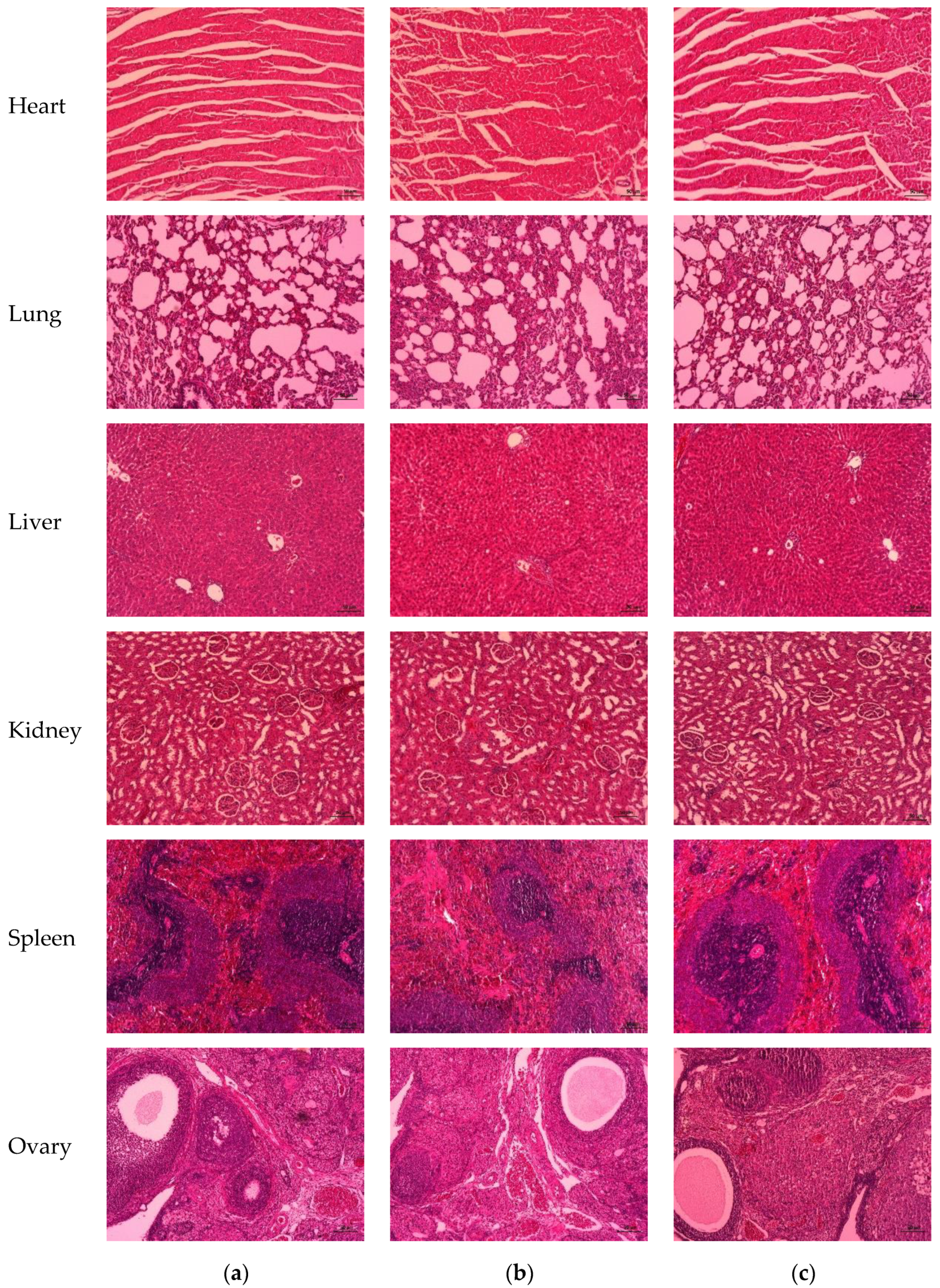 Nutrients 15 01532 g005