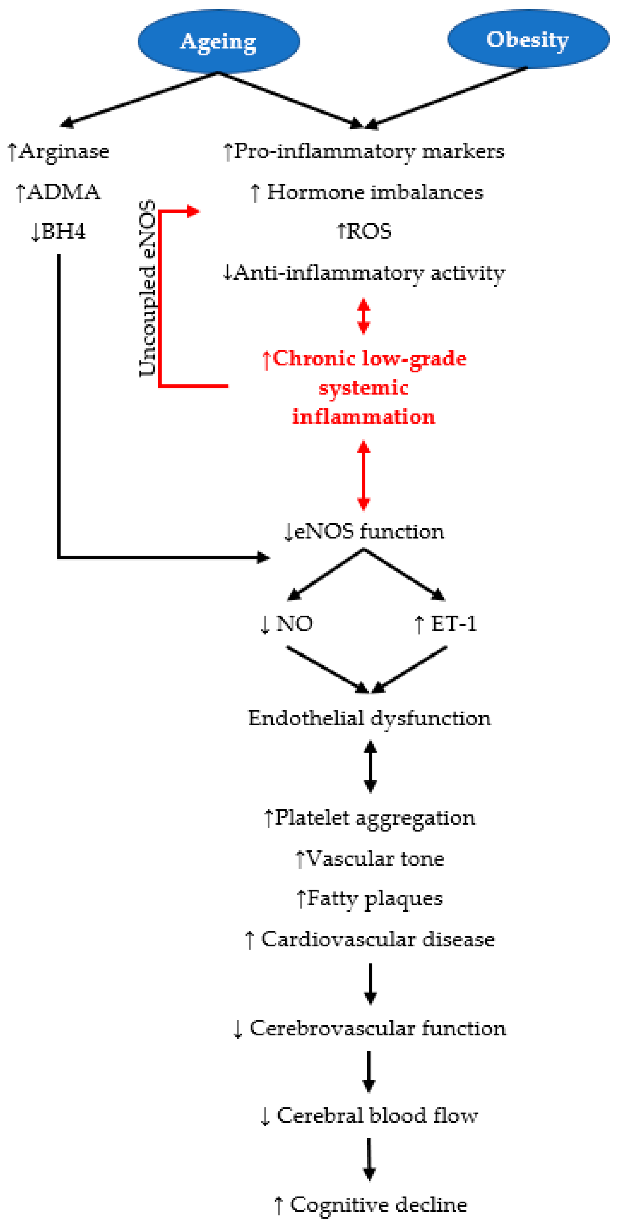 Nutrients 15 01537 g002 Nutrients 15 01537 g002