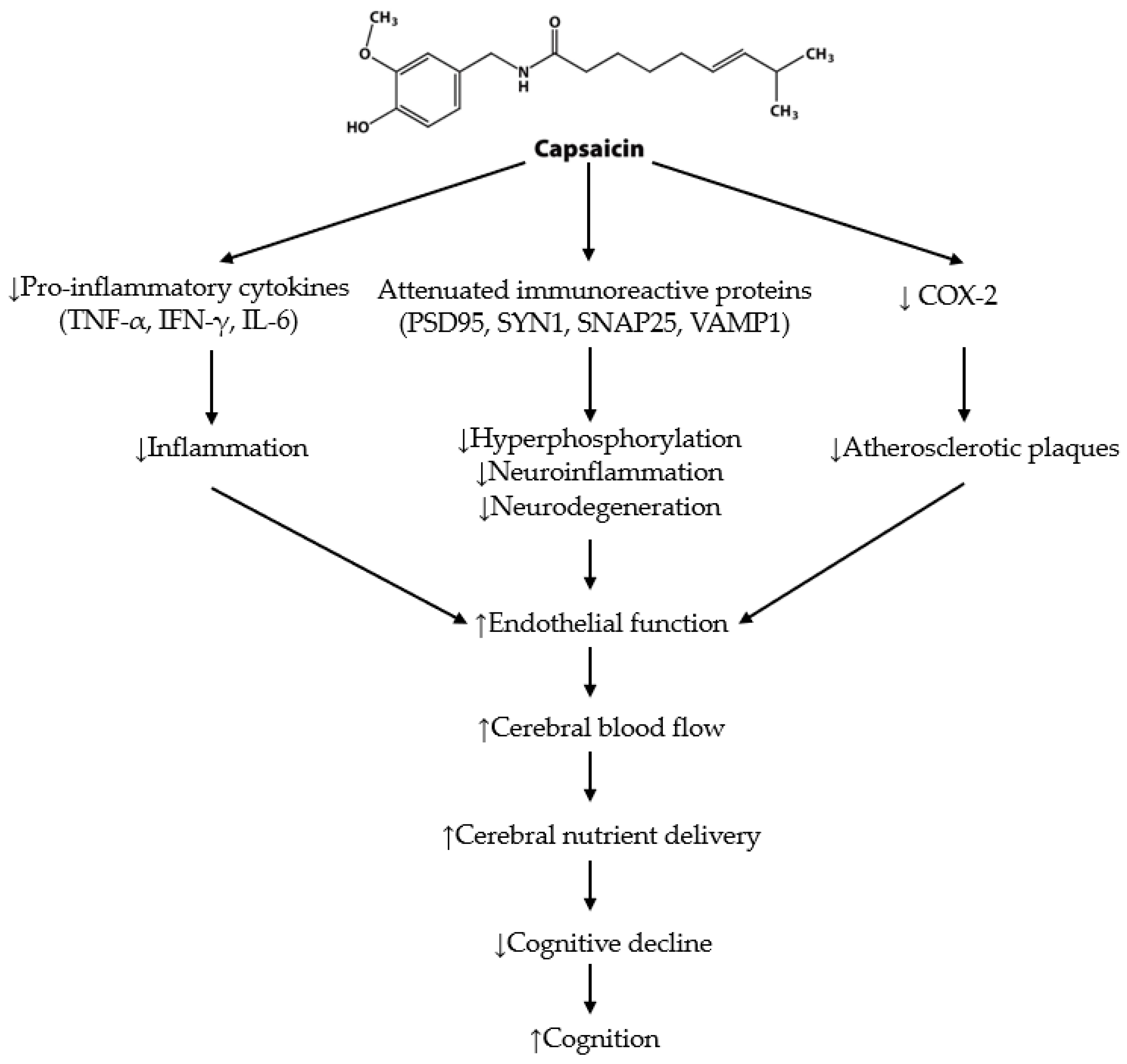 Nutrients Free FullText Capsaicin A Potential Treatment to