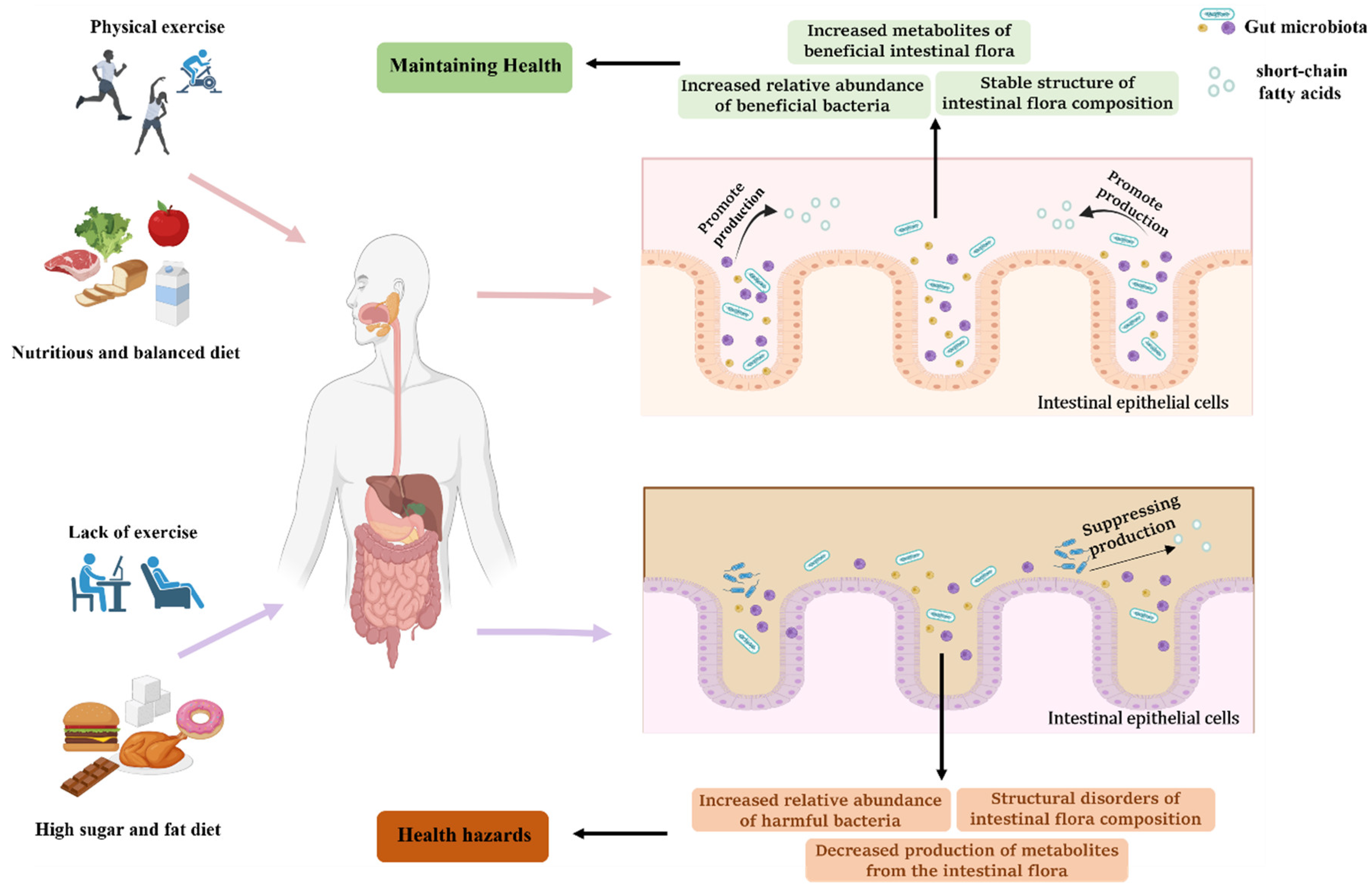 Nutrients 15 01539 g001