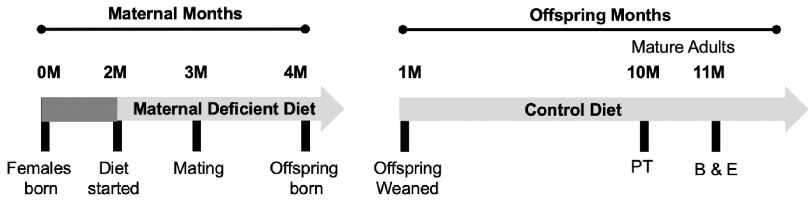 Nutrients 15 01556 g001