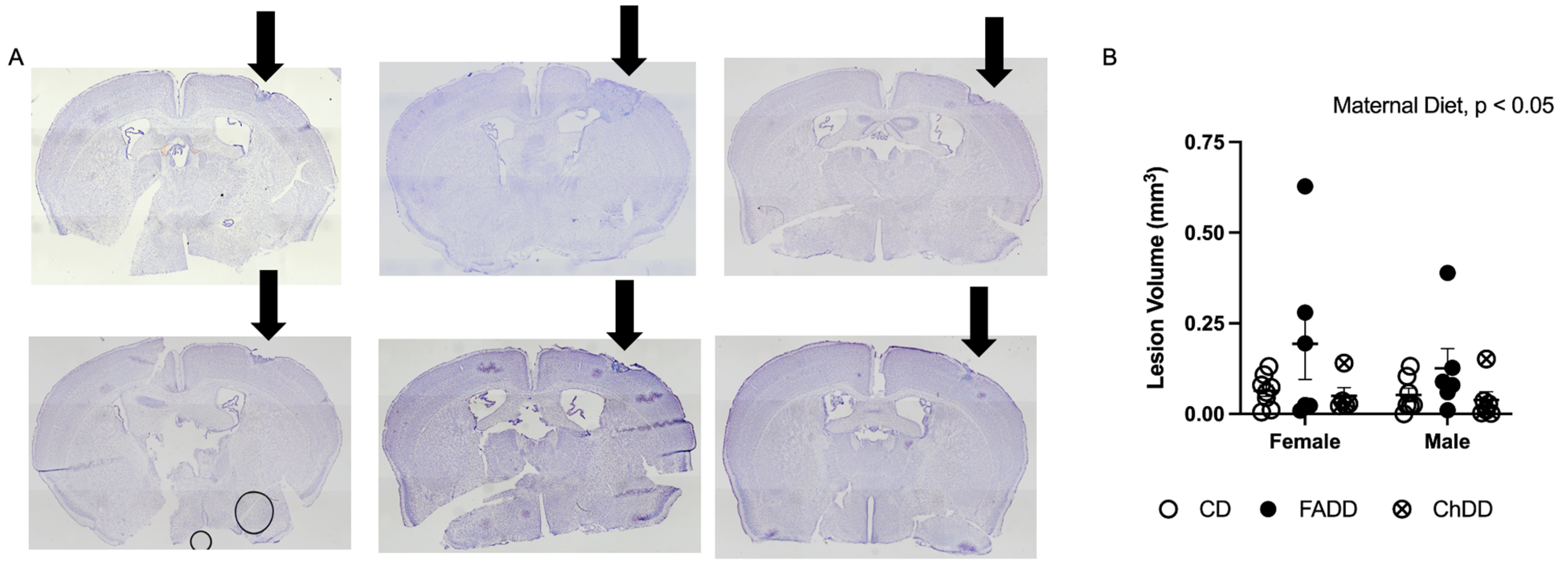 Nutrients 15 01556 g003