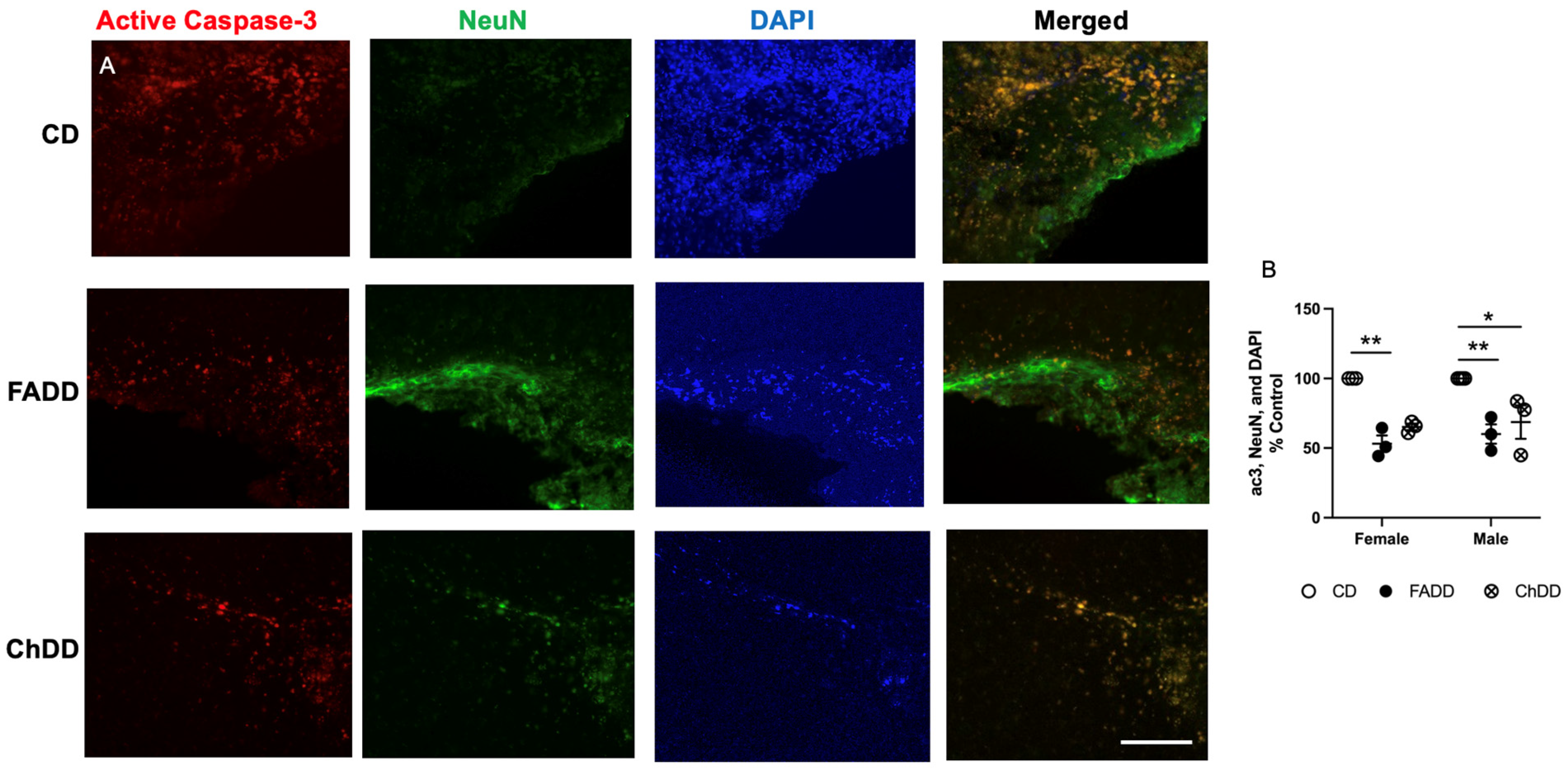Nutrients 15 01556 g004