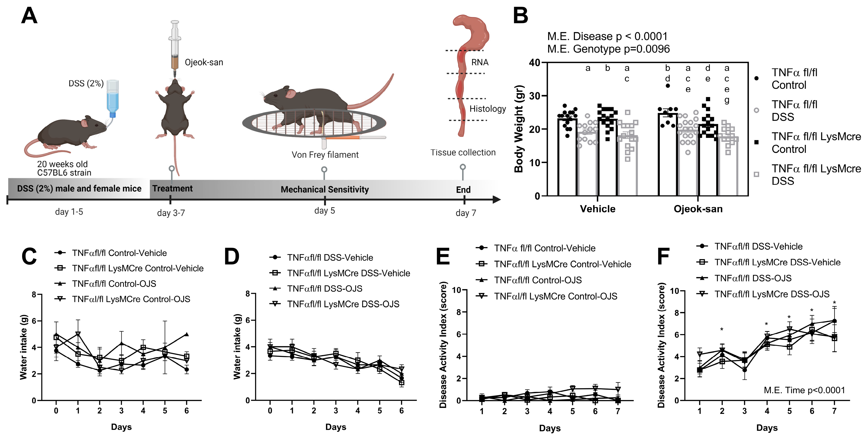 Nutrients 15 01559 g001 Nutrients 15 01559 g001