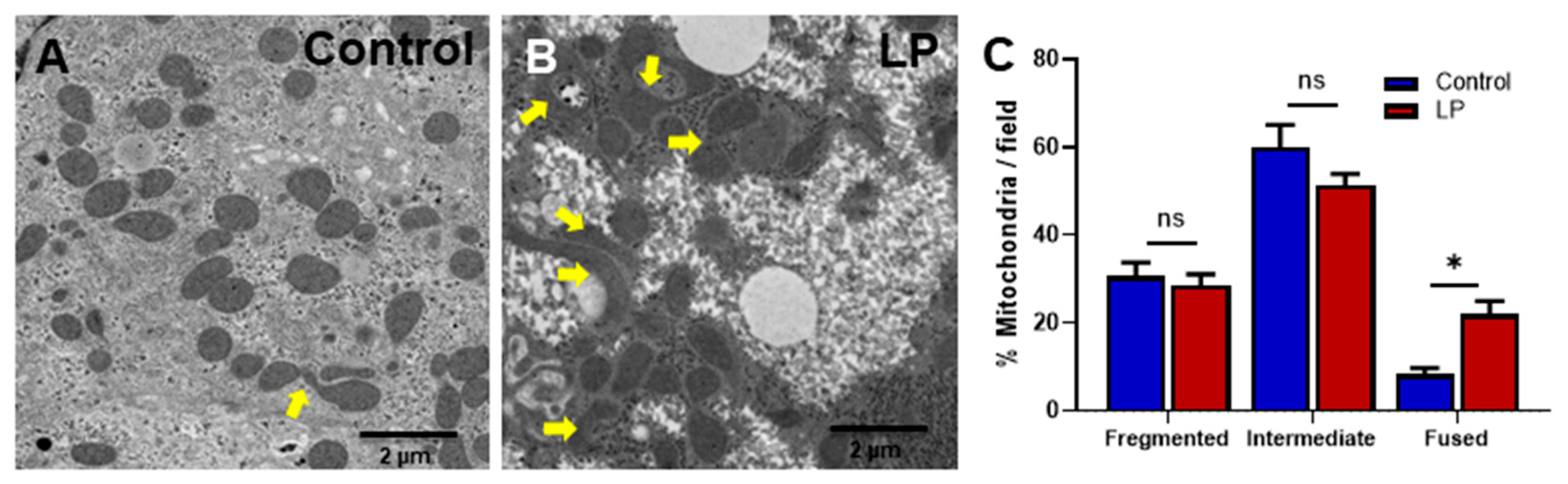Nutrients 15 01568 g001 Nutrients 15 01568 g001