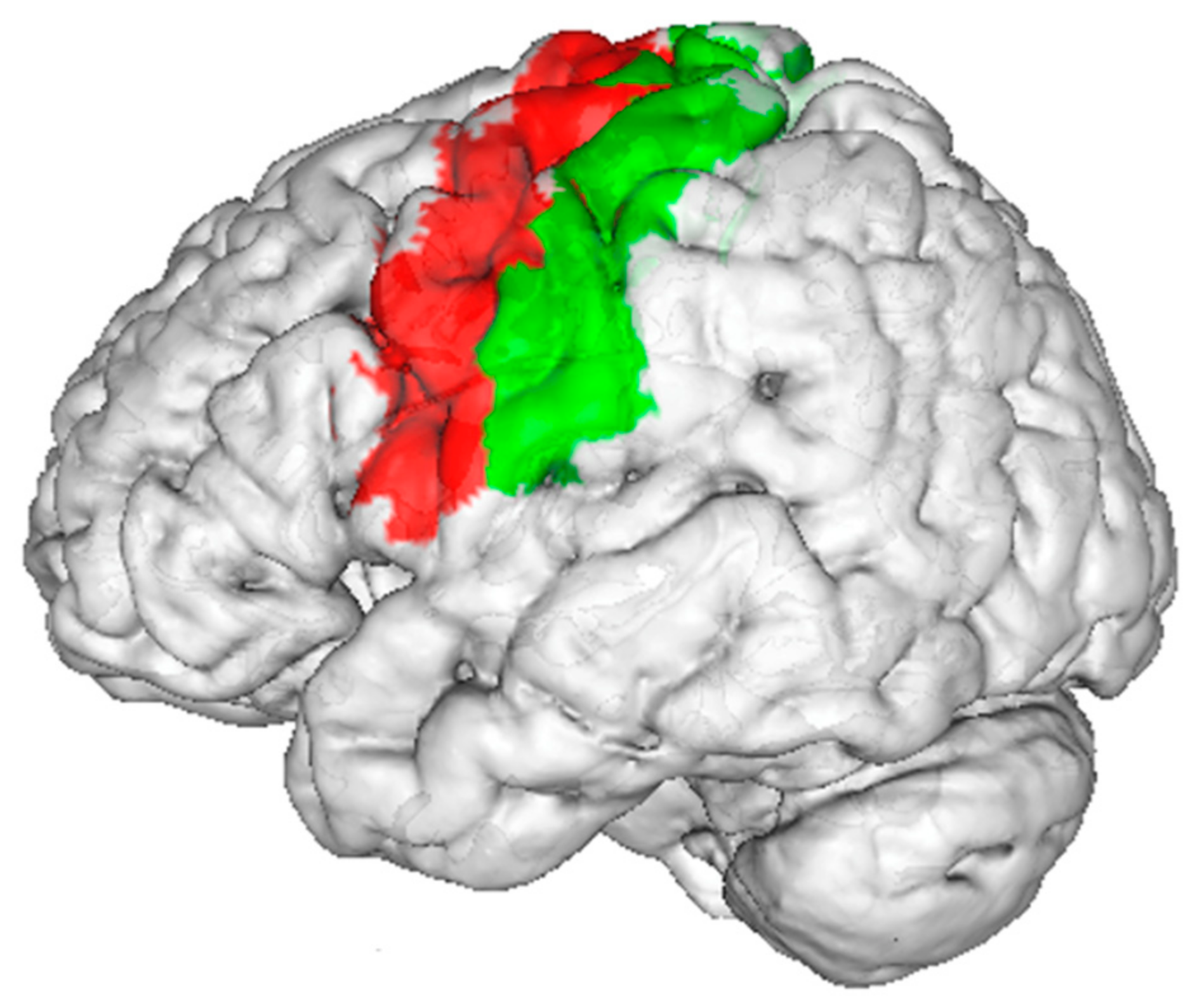 Nutrients 15 01577 g003 Nutrients 15 01577 g003
