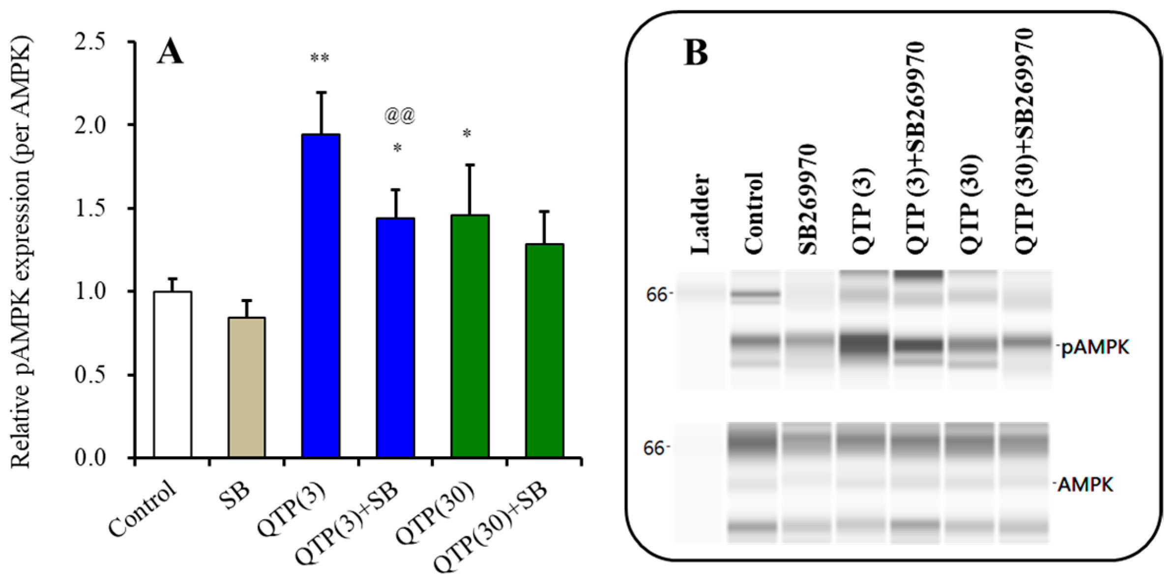 Nutrients 15 01621 g011 Nutrients 15 01621 g011