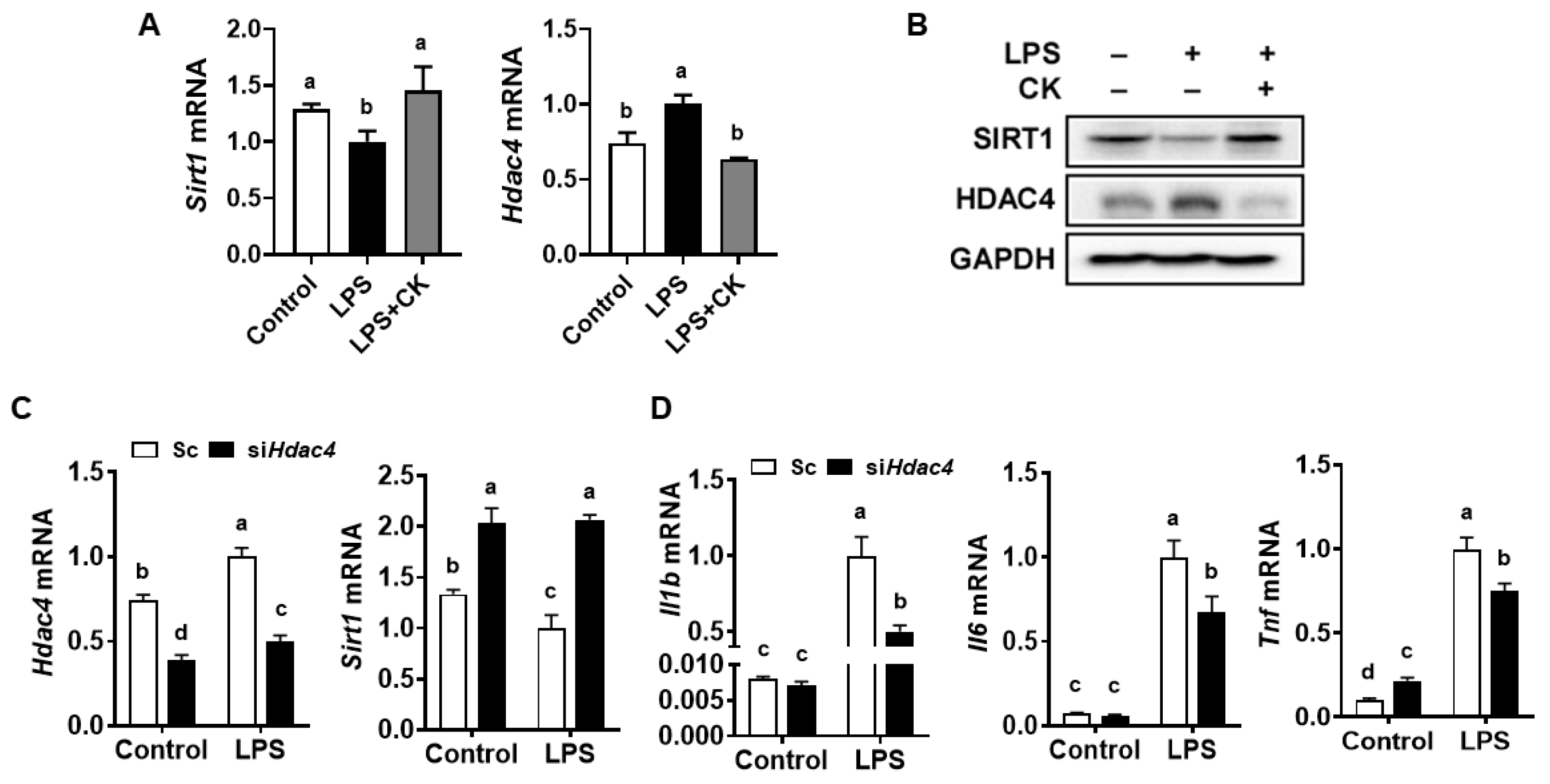 Nutrients 15 01626 g002 Nutrients 15 01626 g002