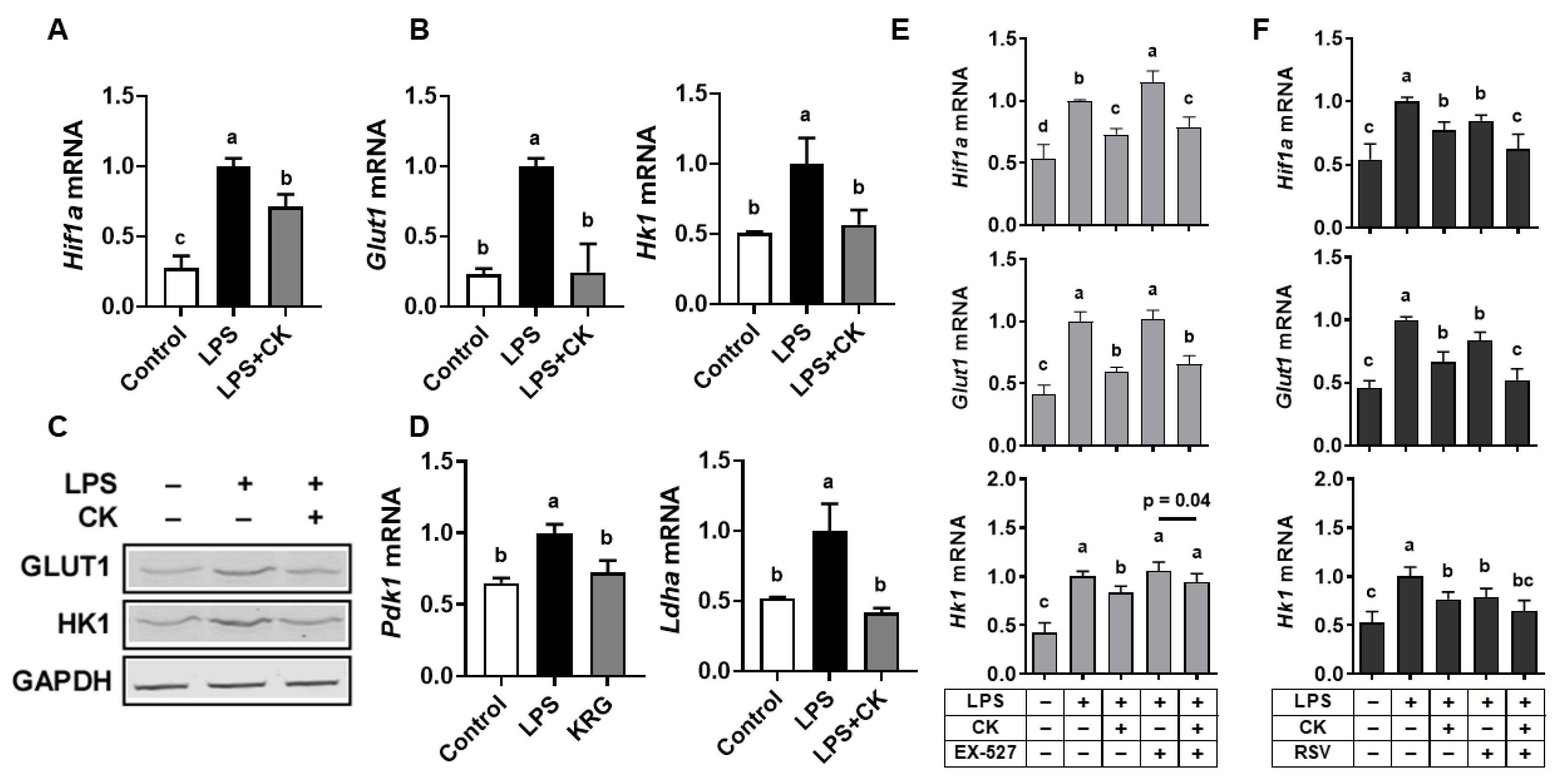 Nutrients 15 01626 g005 Nutrients 15 01626 g005