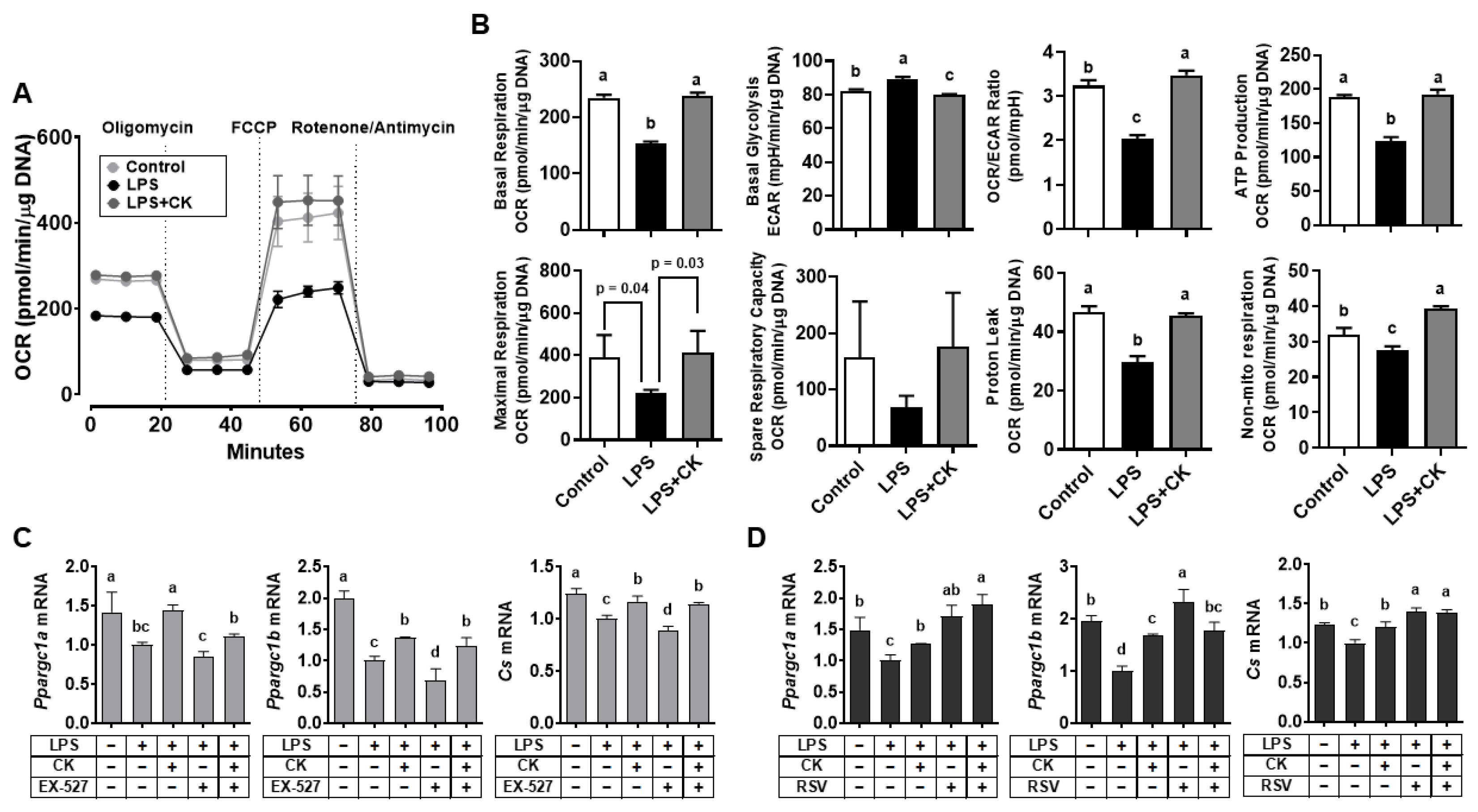 Nutrients 15 01626 g006 Nutrients 15 01626 g006