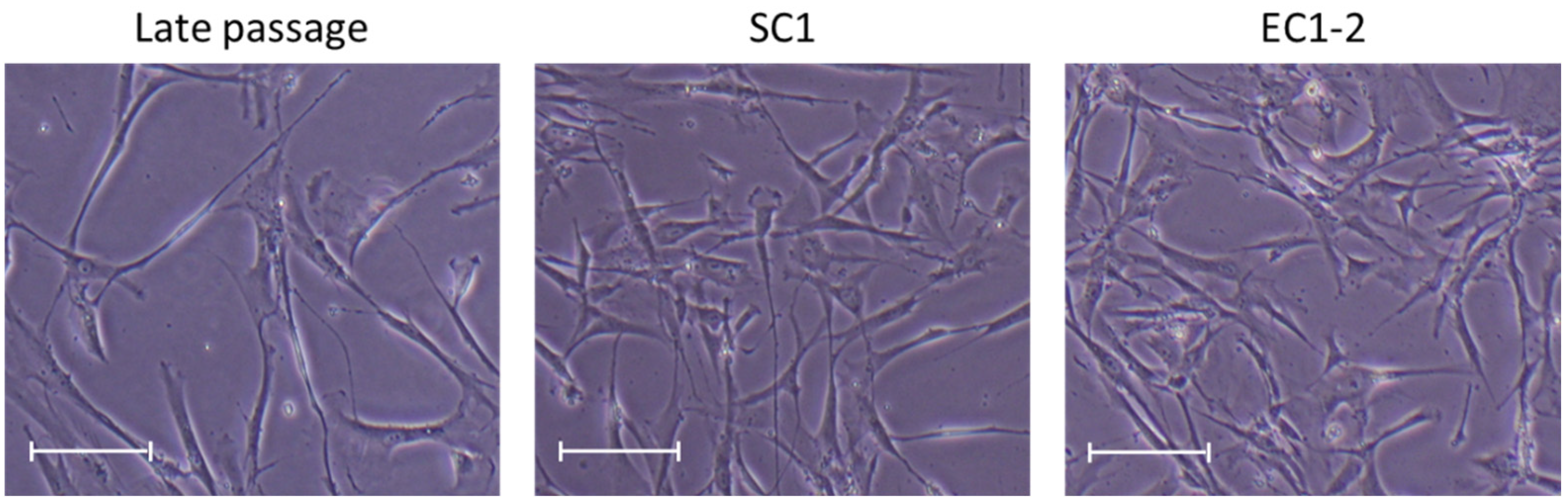 Nutrients 15 01627 g001 Nutrients 15 01627 g001