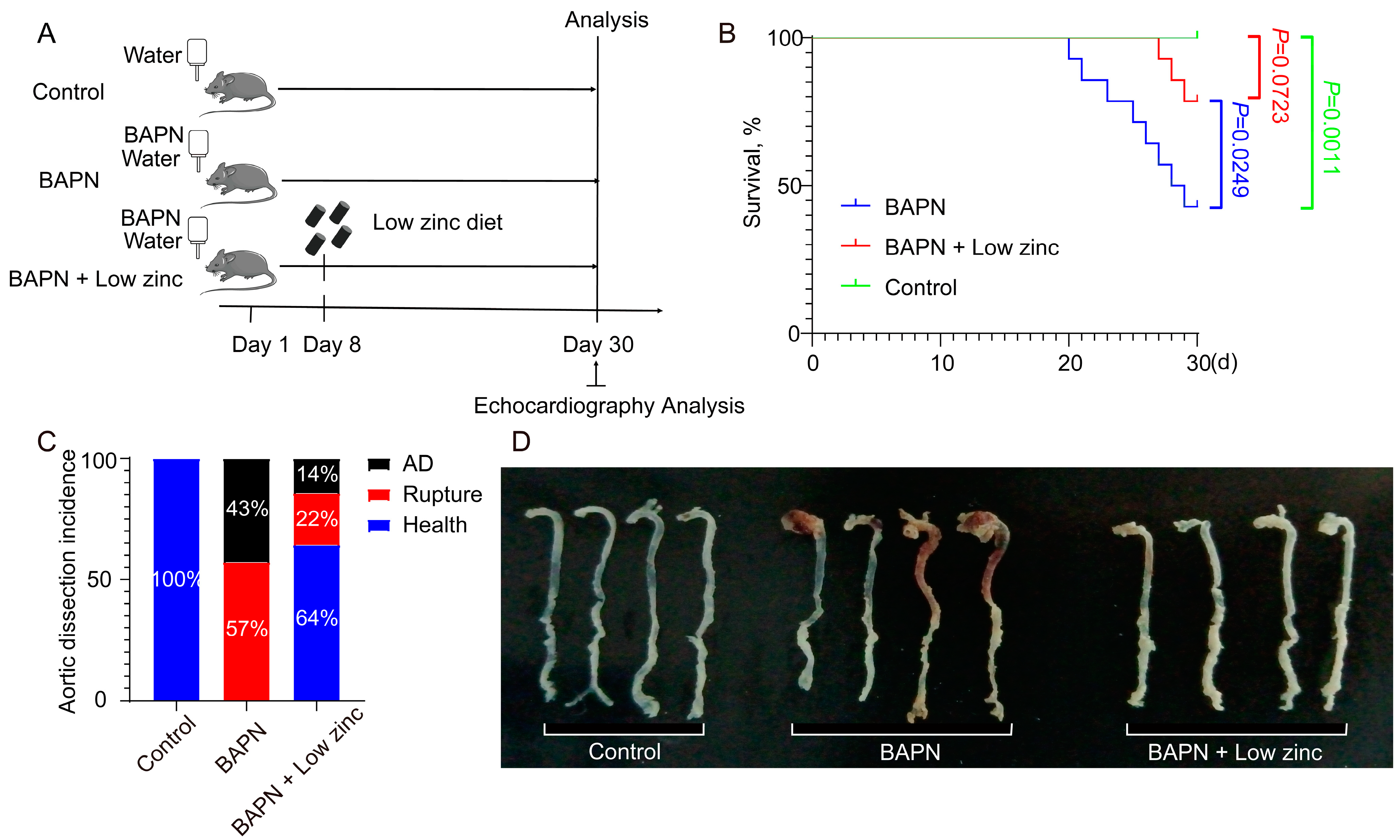 Nutrients 15 01640 g001 Nutrients 15 01640 g001